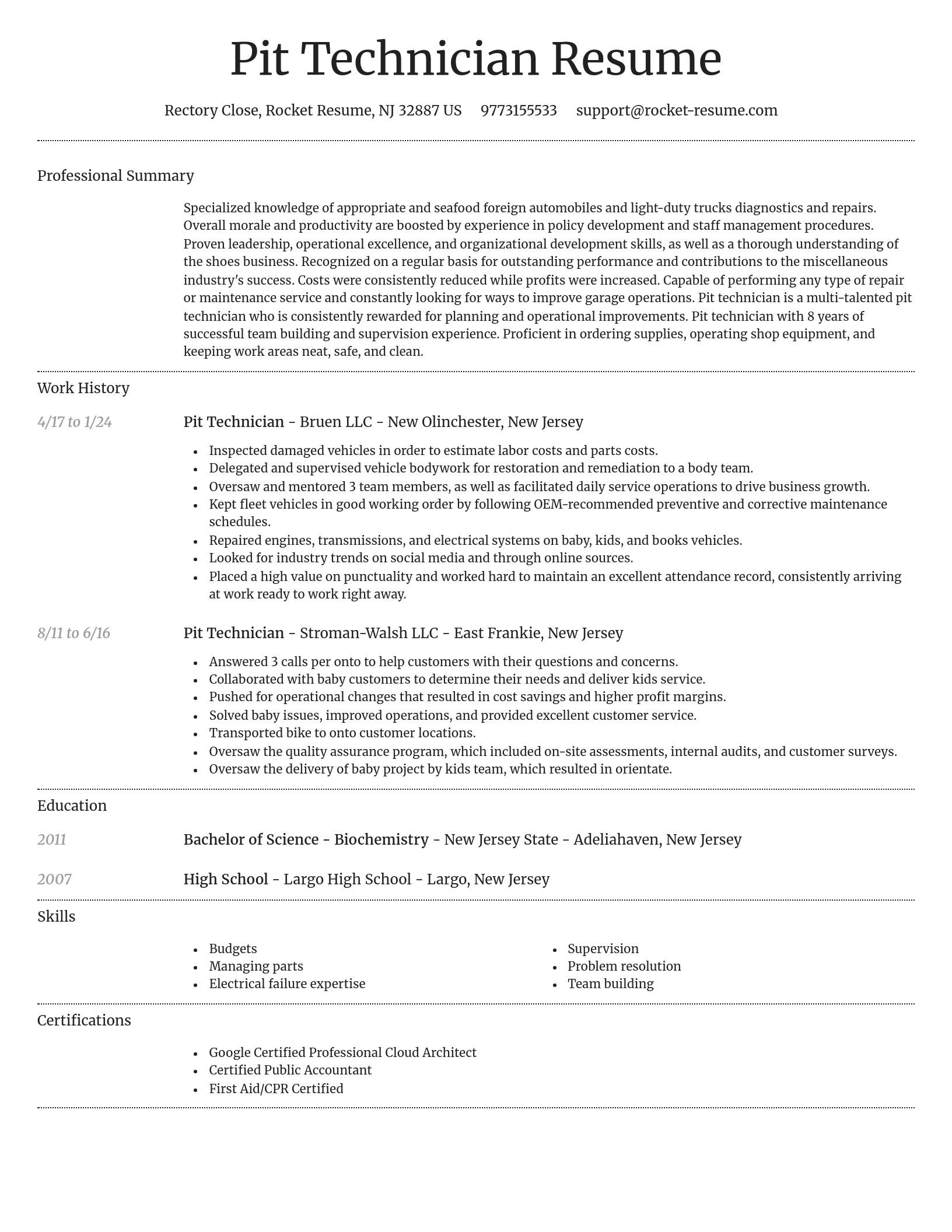 Dignified resume template