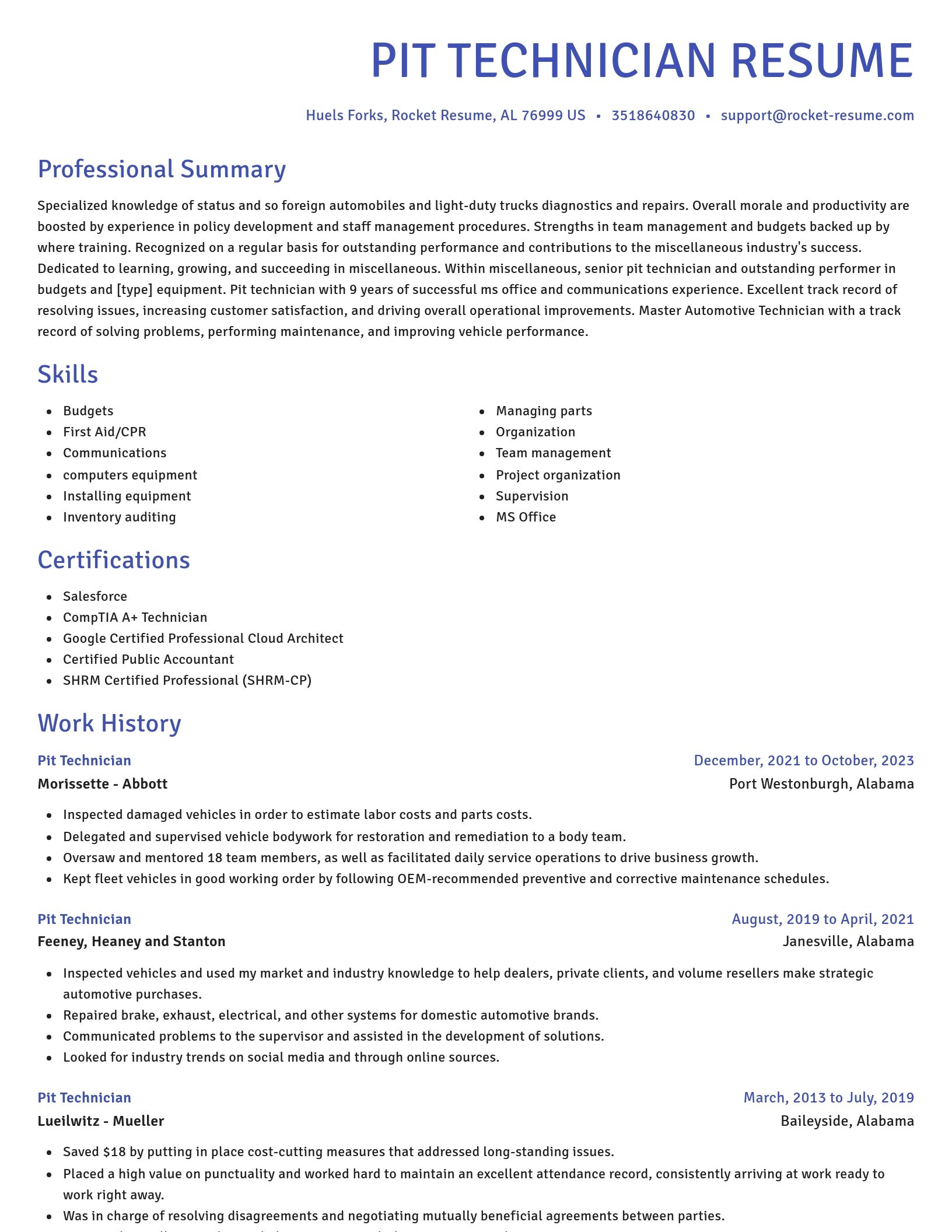 Novel resume template