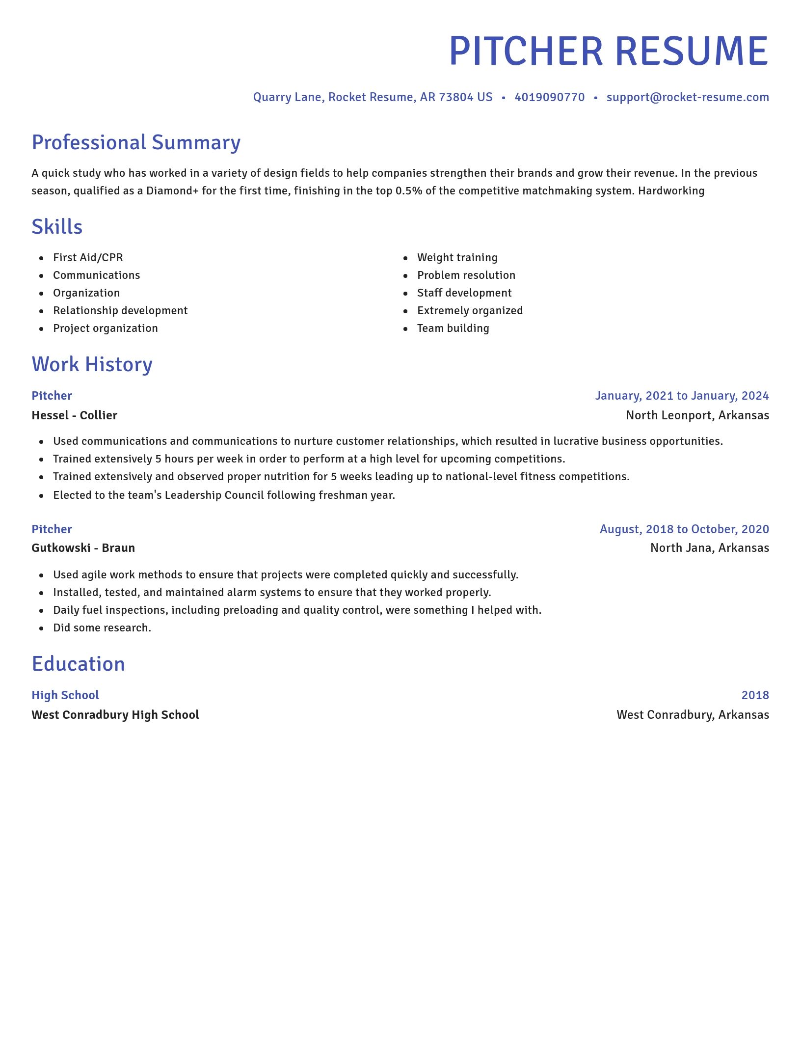 Novel resume template