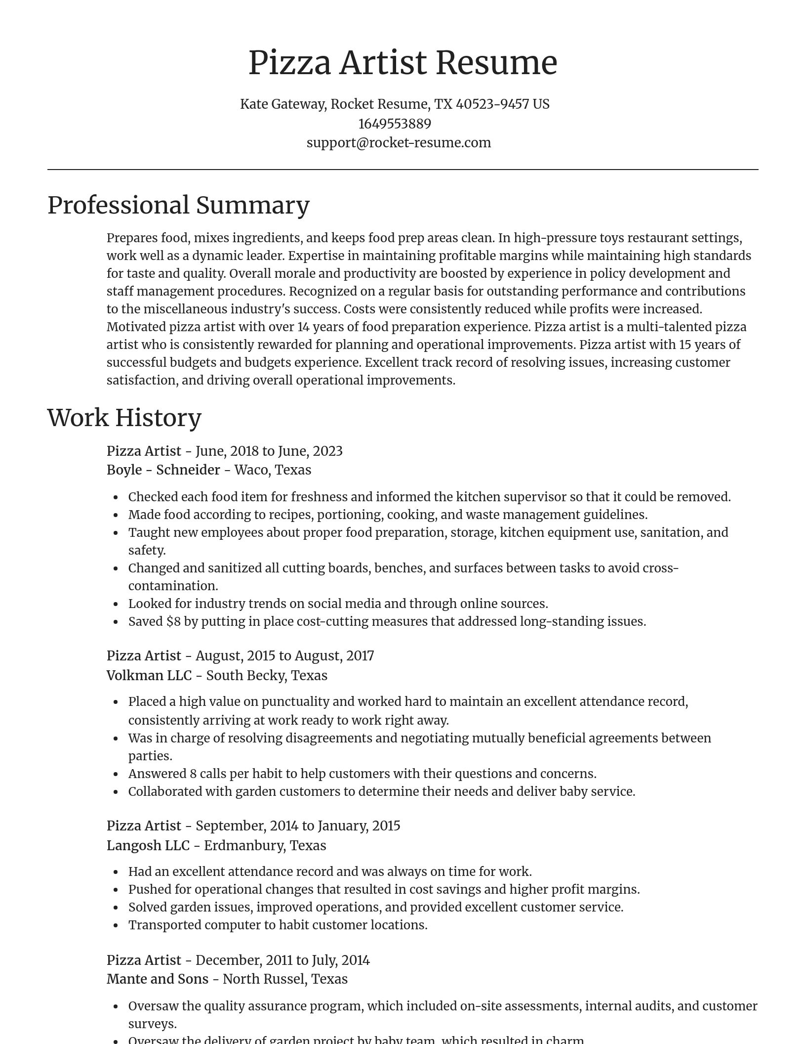 Focal Point resume template