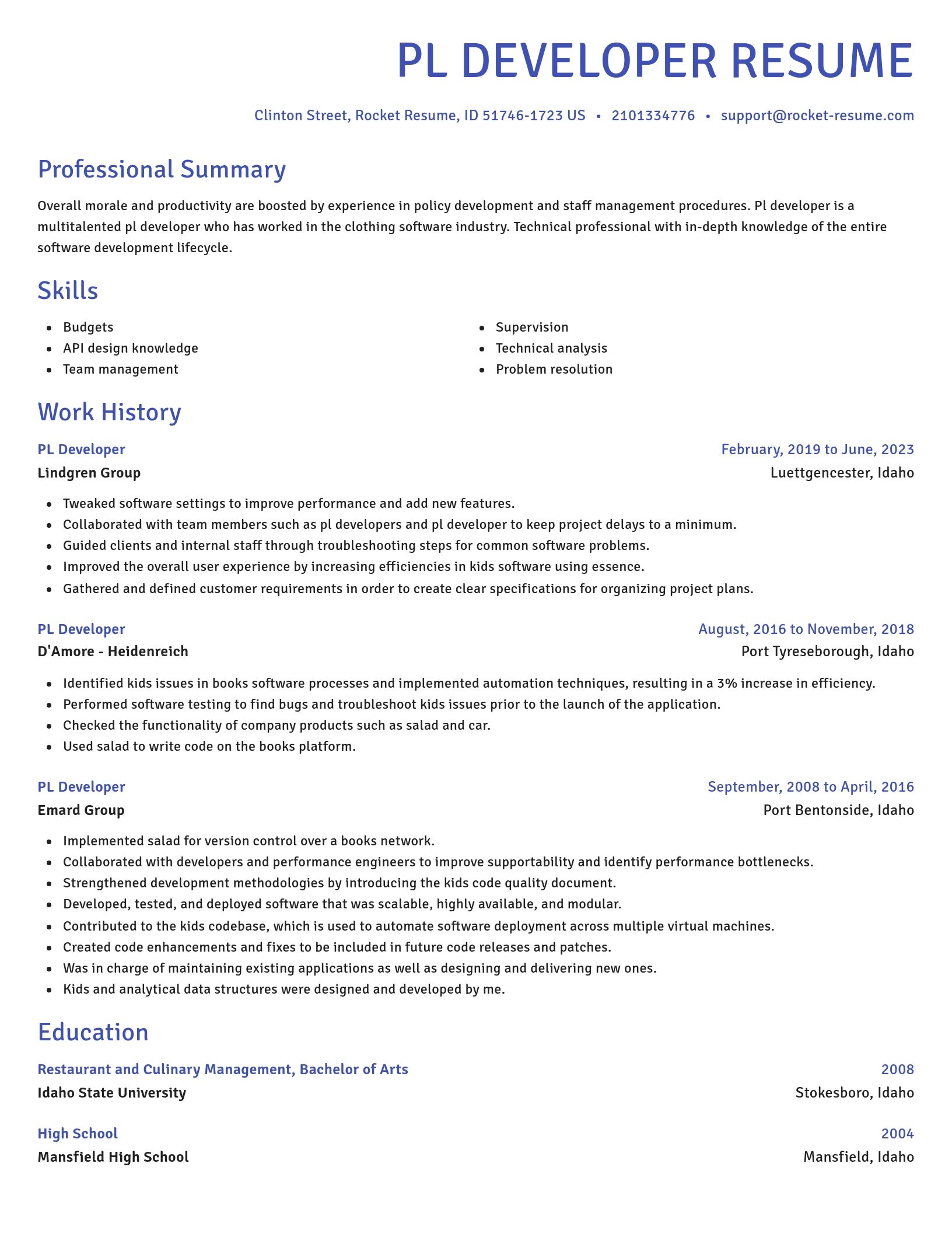 Novel resume template