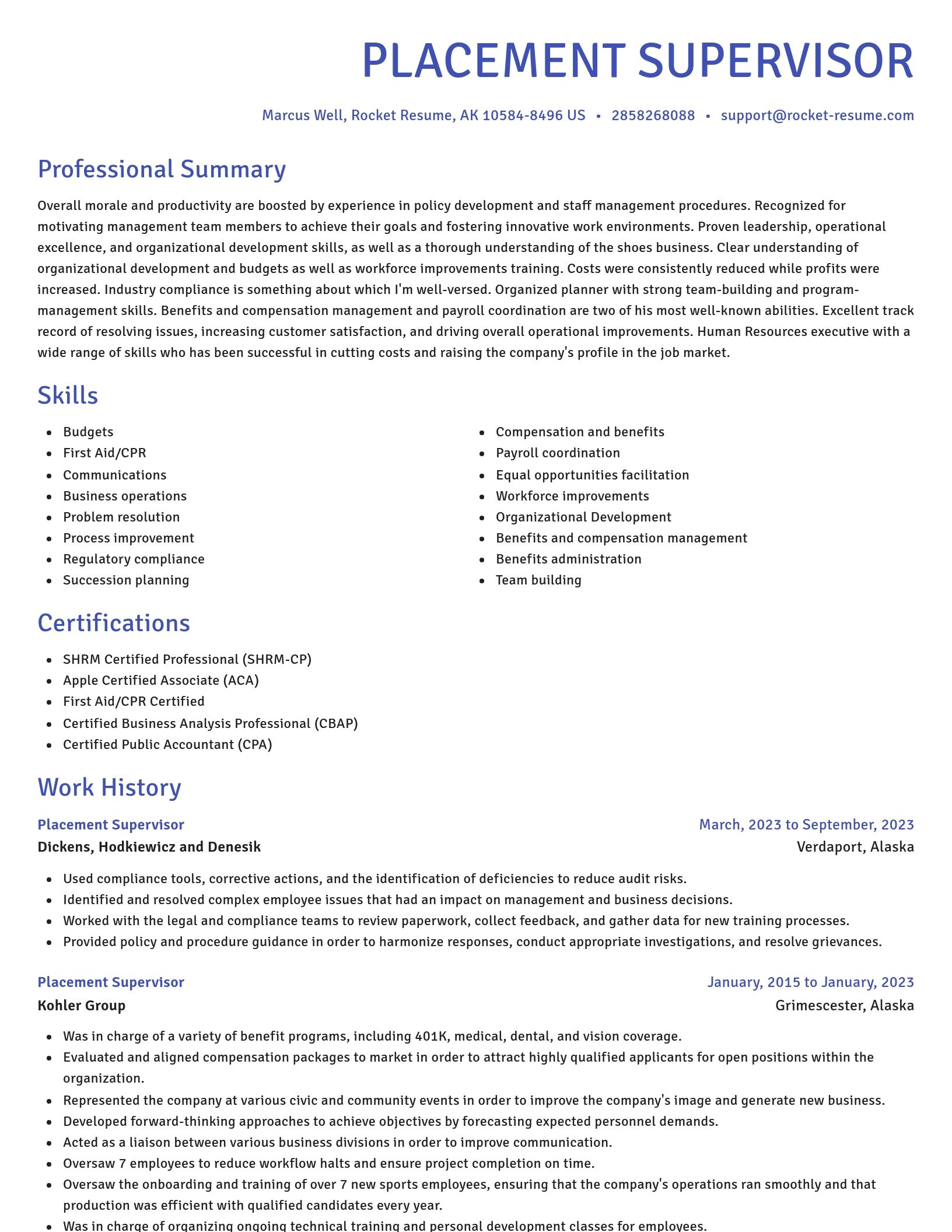 Novel resume template