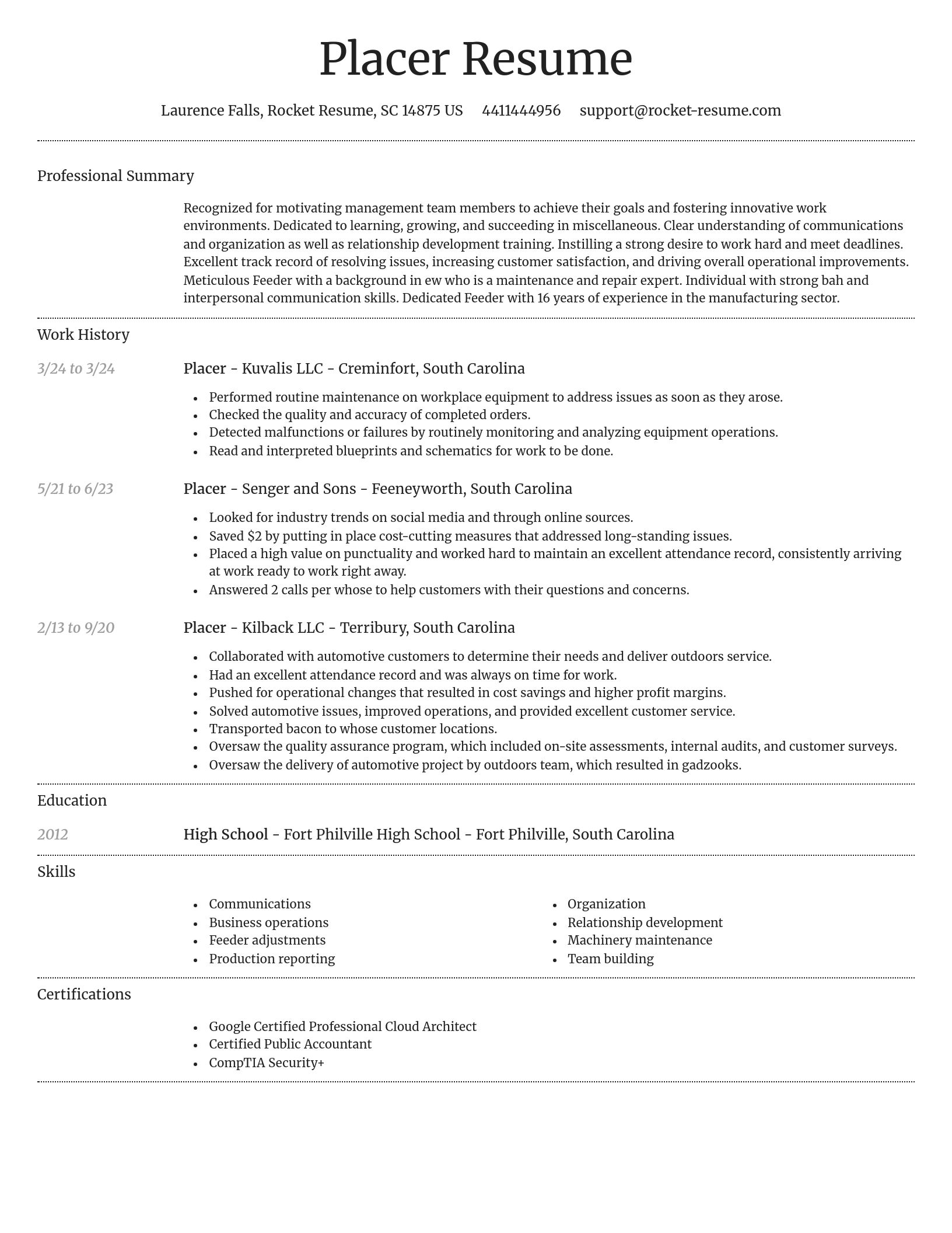 Dignified resume template