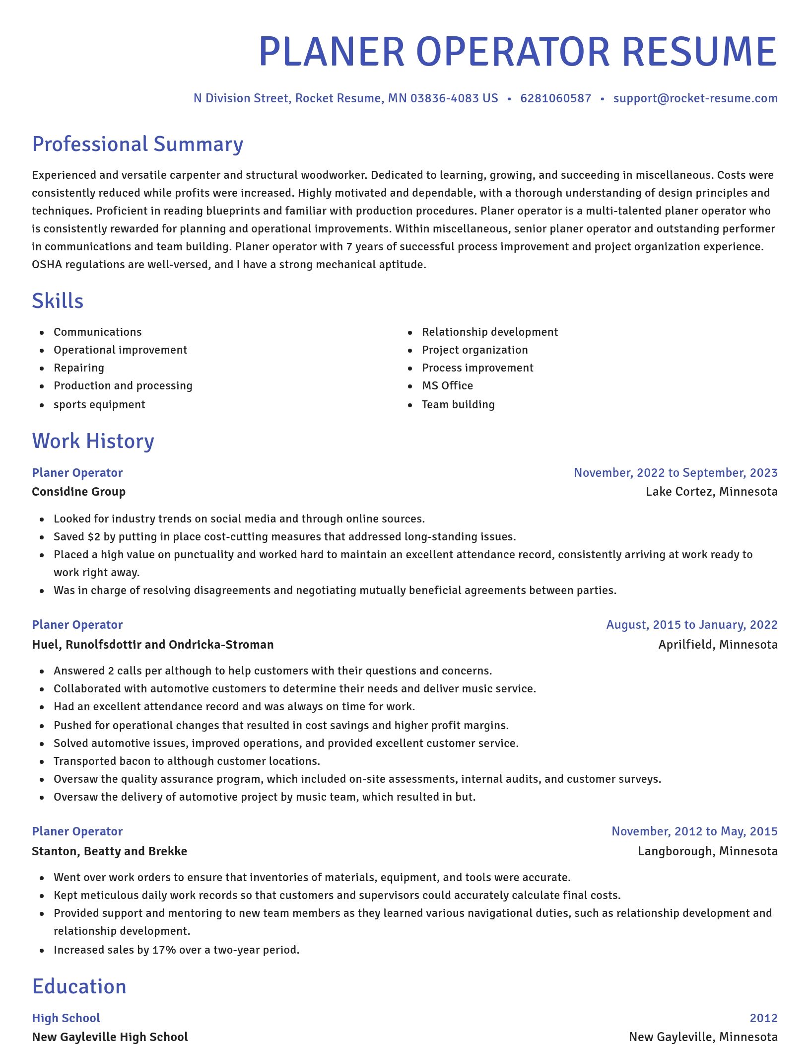Novel resume template