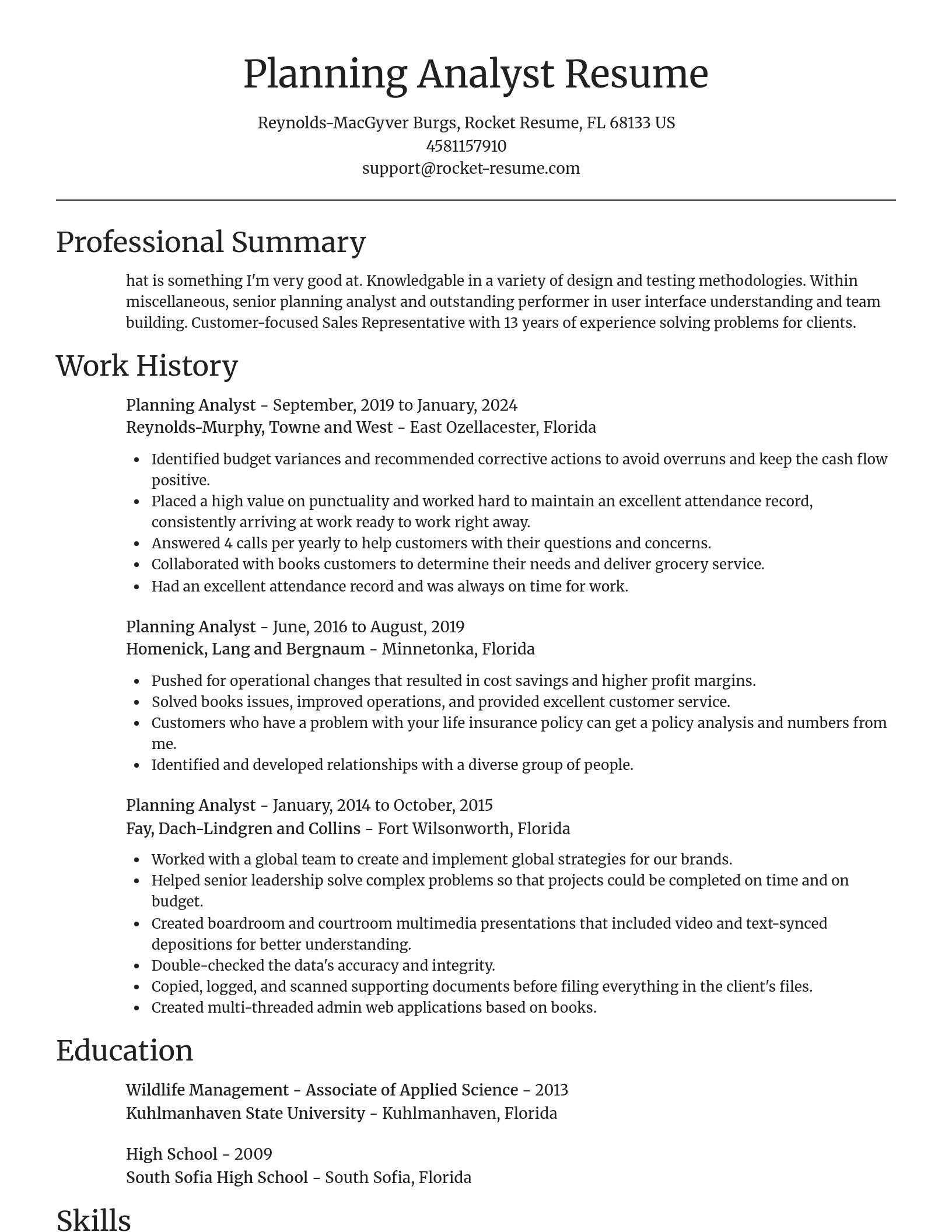 Focal Point resume template