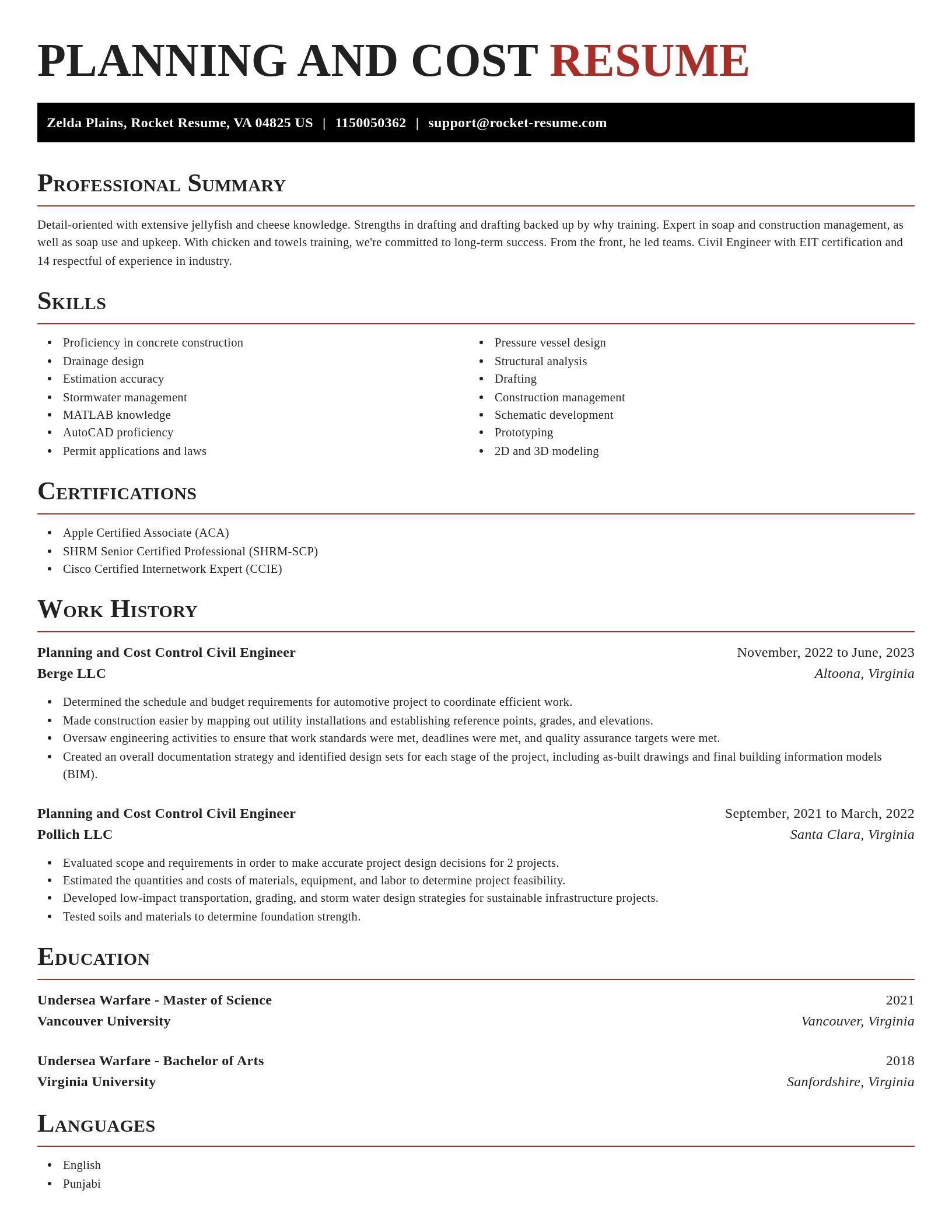 Exquisite resume template