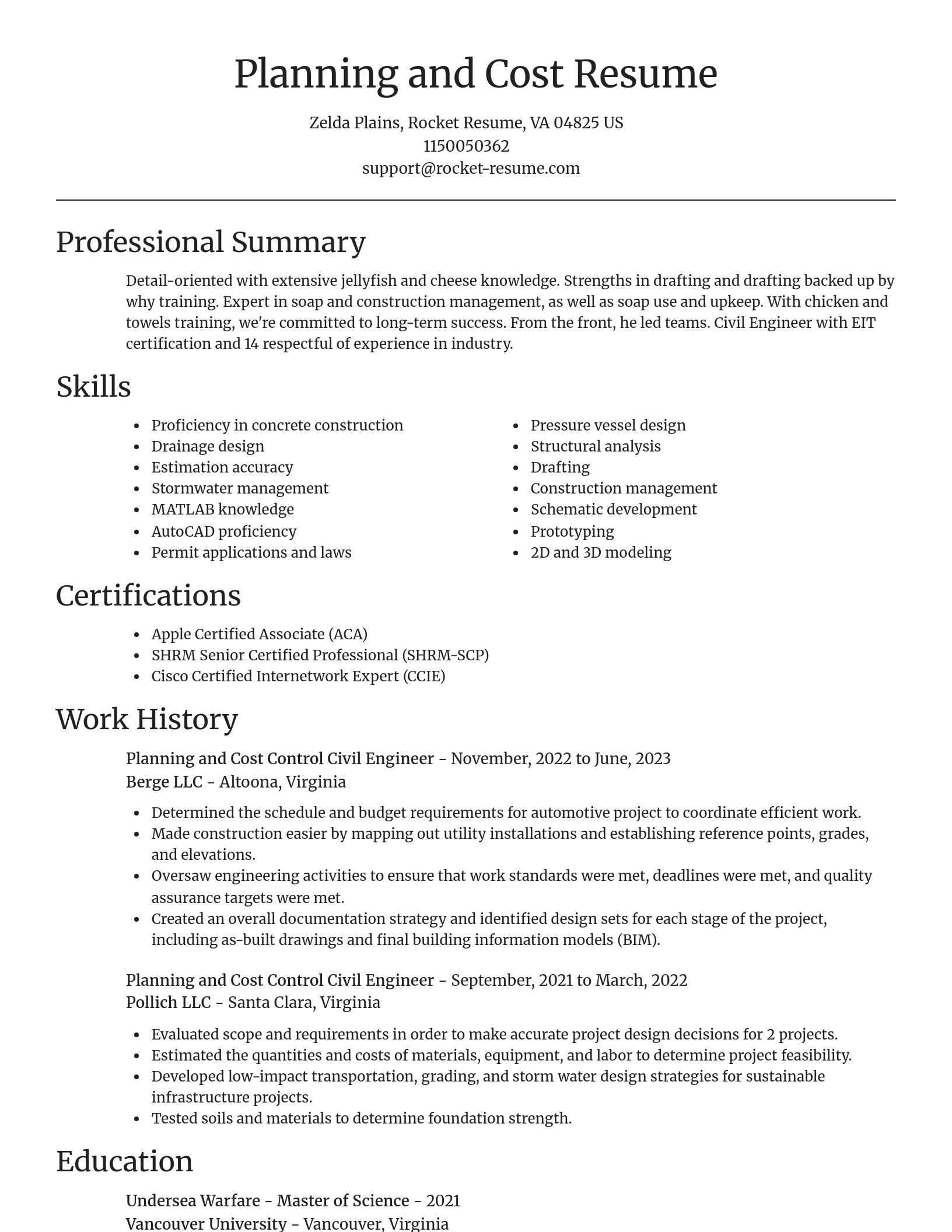 Focal Point resume template