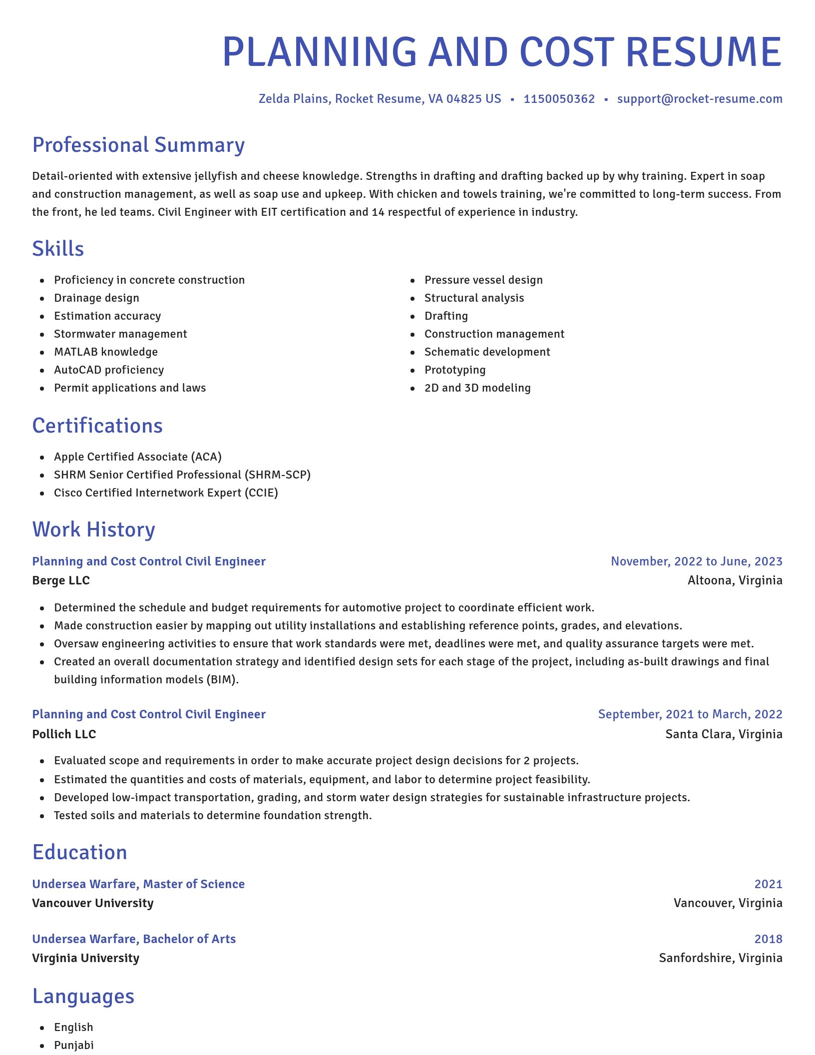 Novel resume template