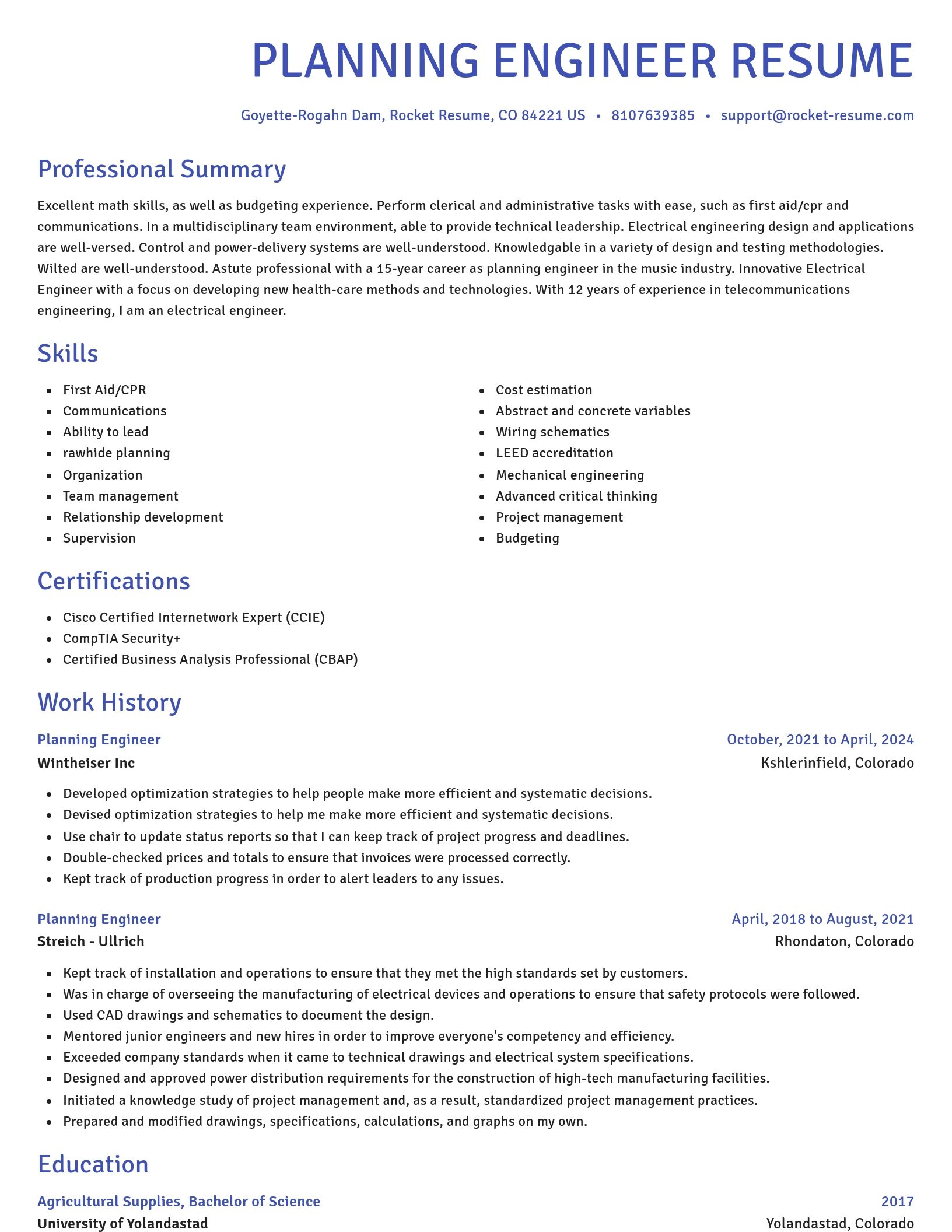 Novel resume template