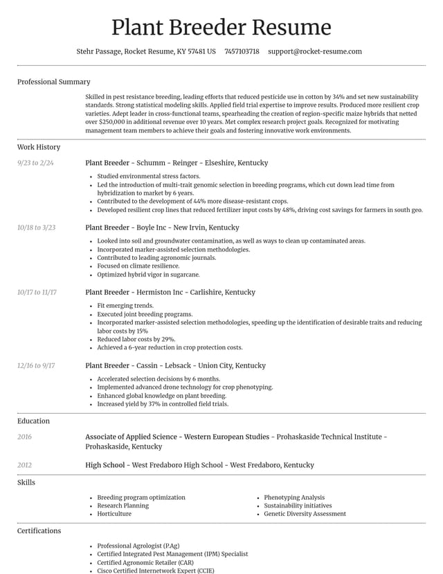 Dignified resume template