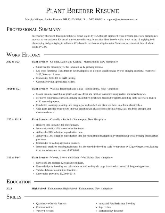 Director resume template
