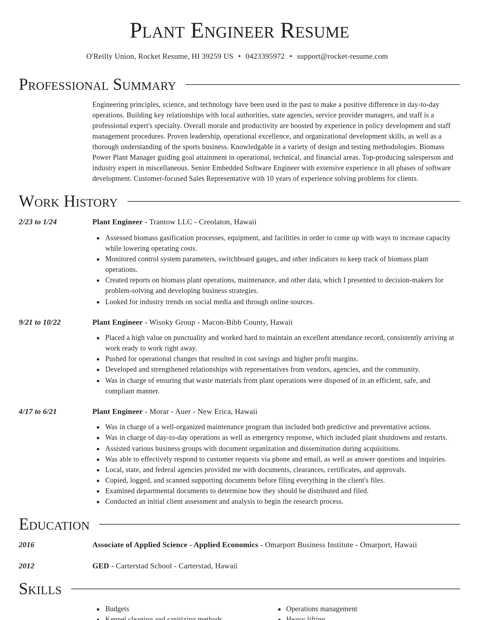 Director resume template