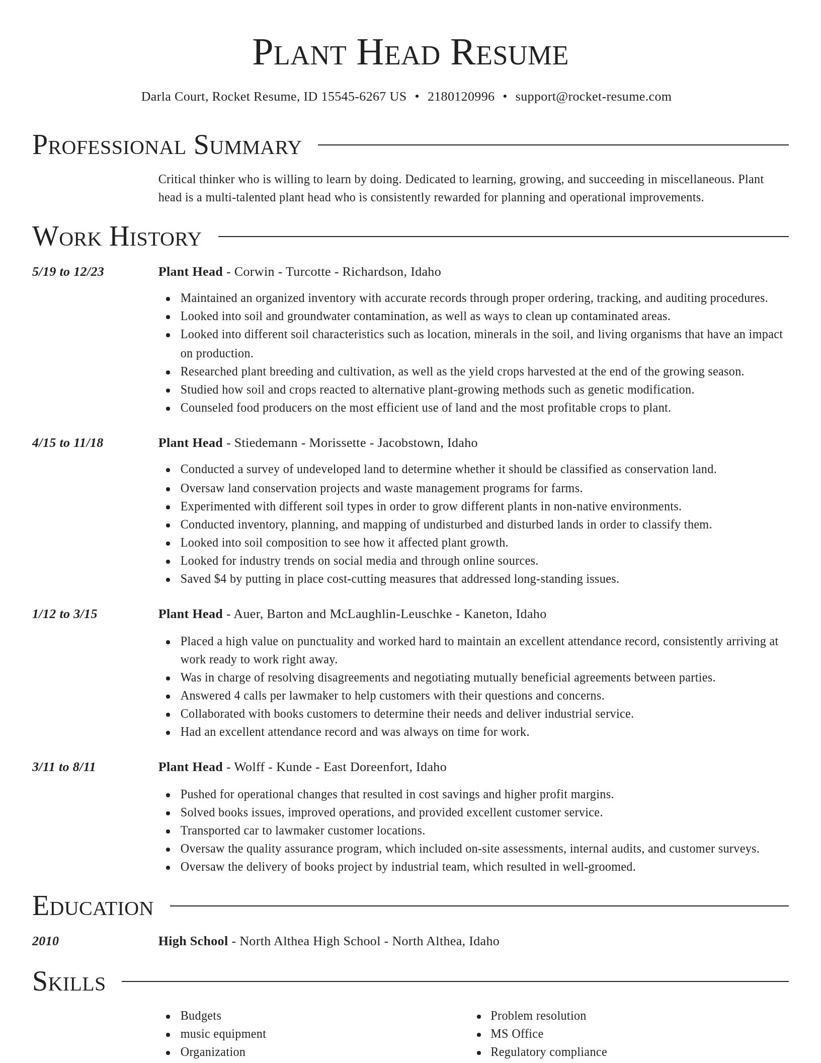 Director resume template