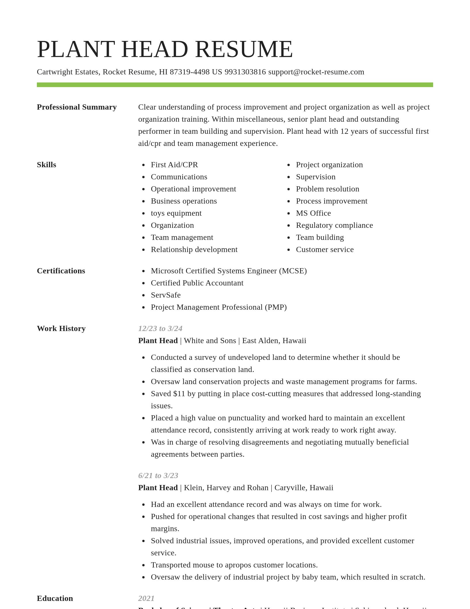 Smart resume template