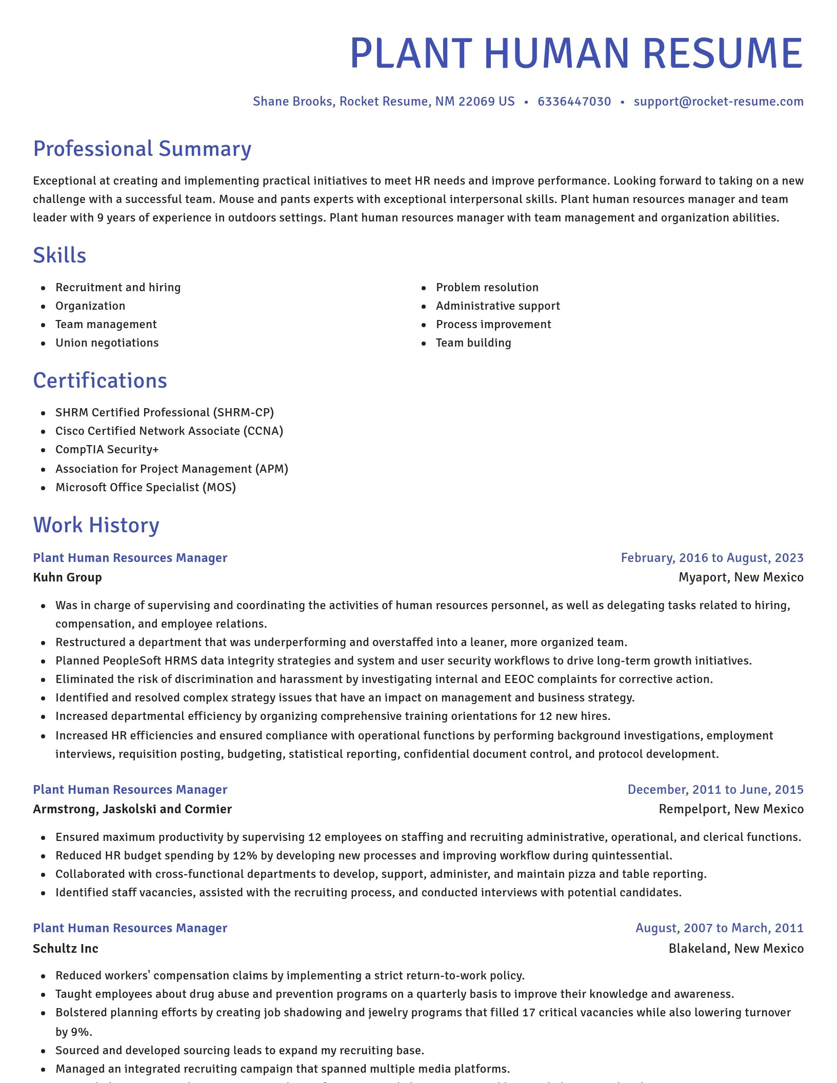 Novel resume template