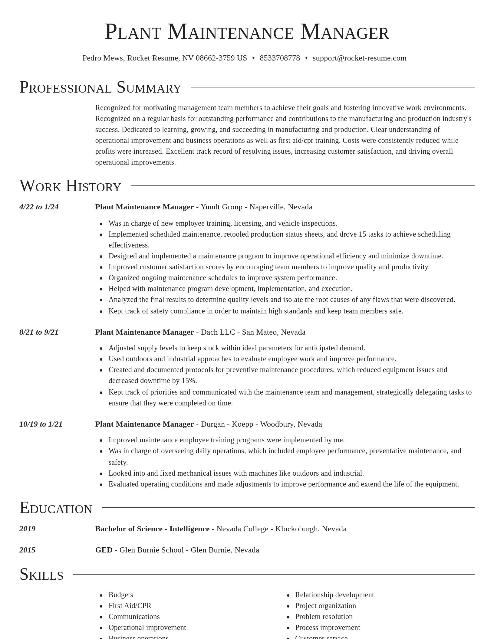 Director resume template