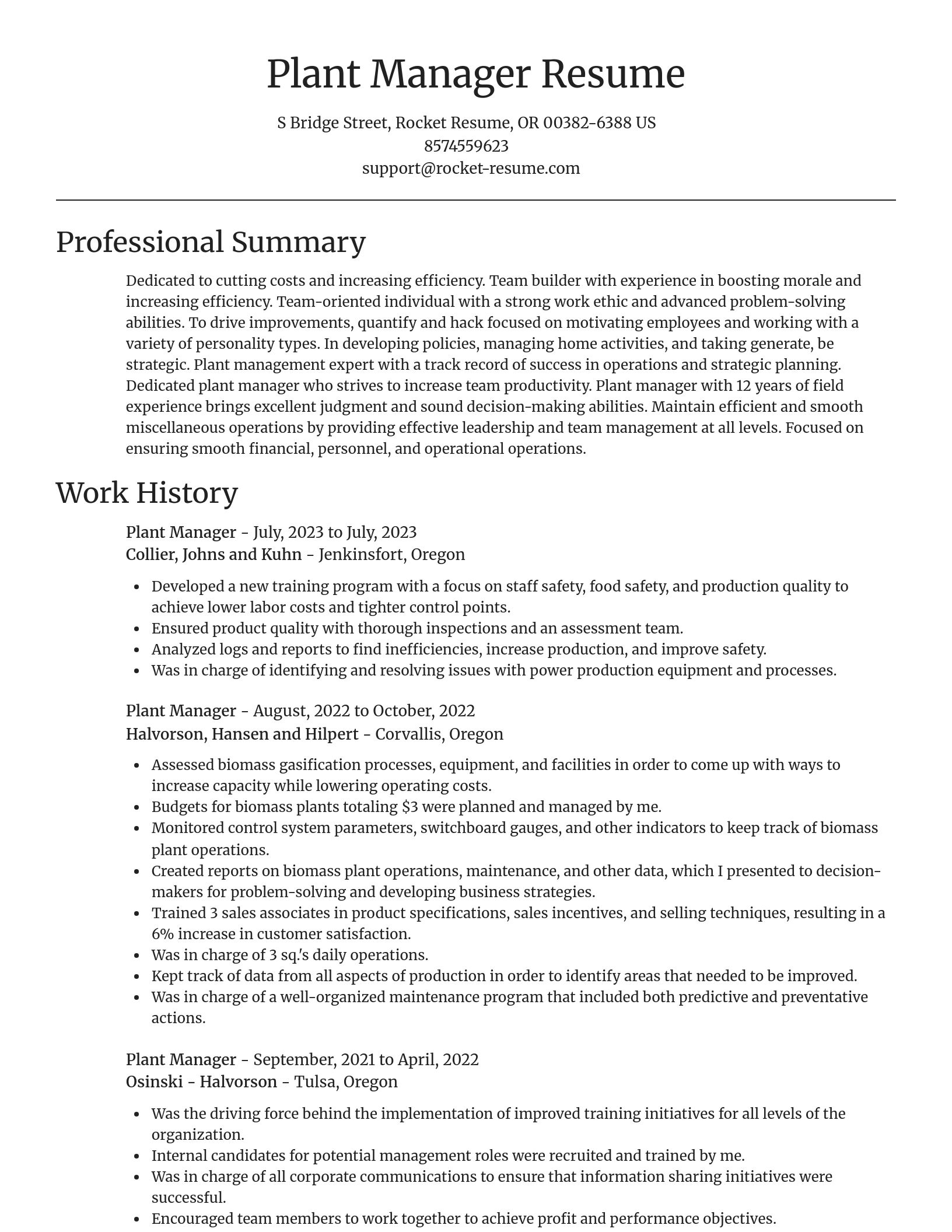 Focal Point resume template