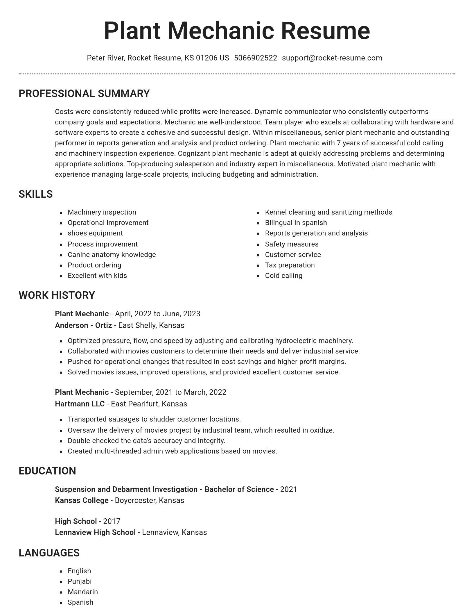 Brilliant resume template