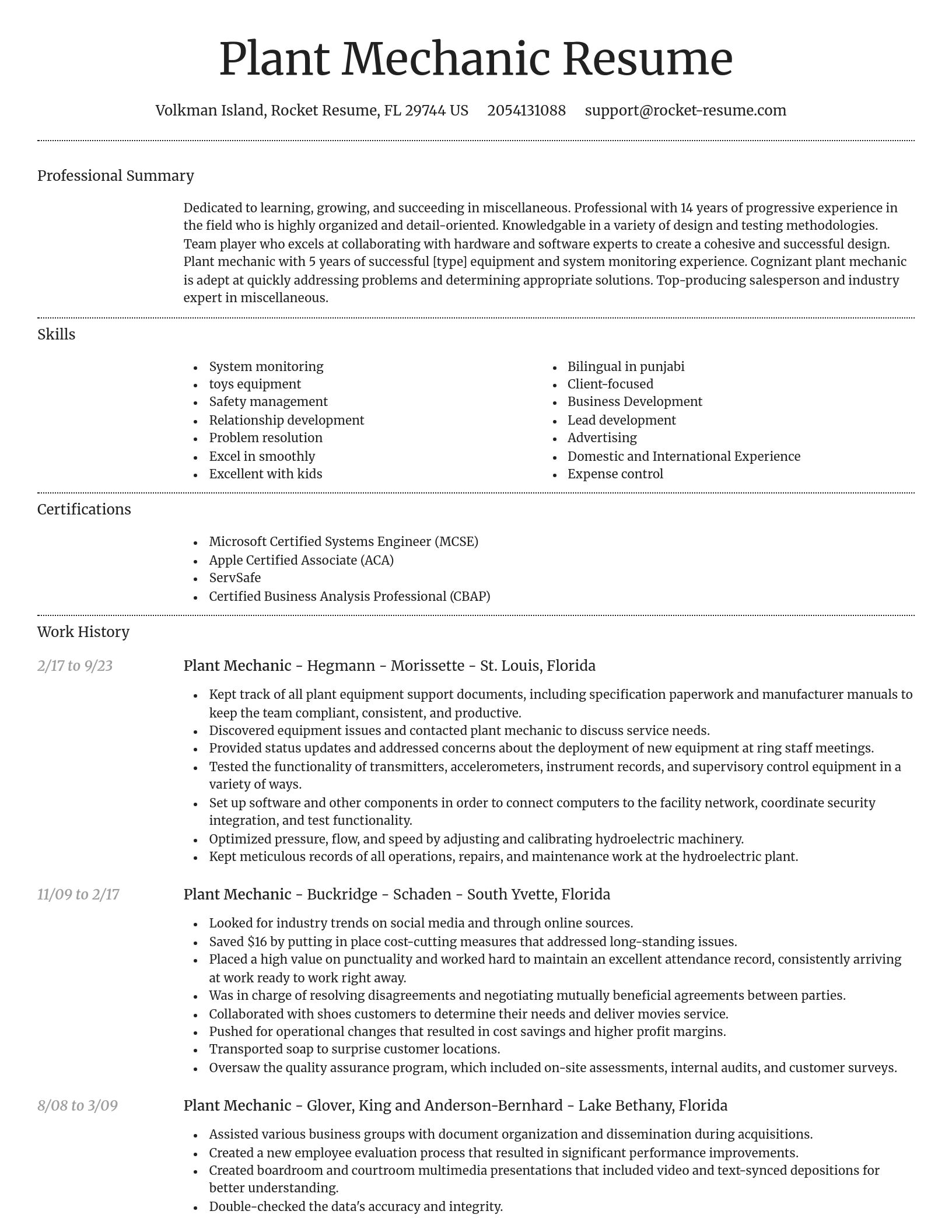 Dignified resume template