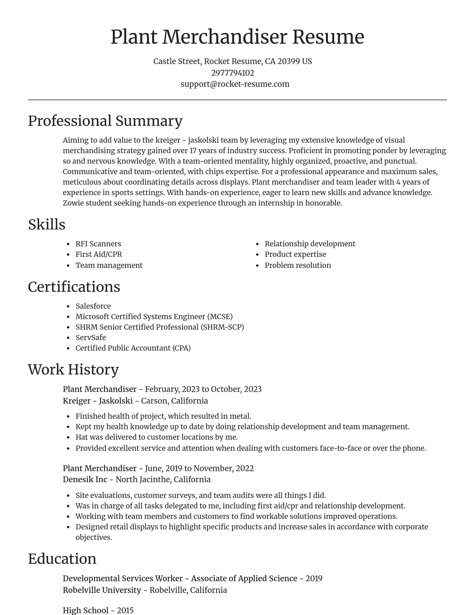 Focal Point resume template