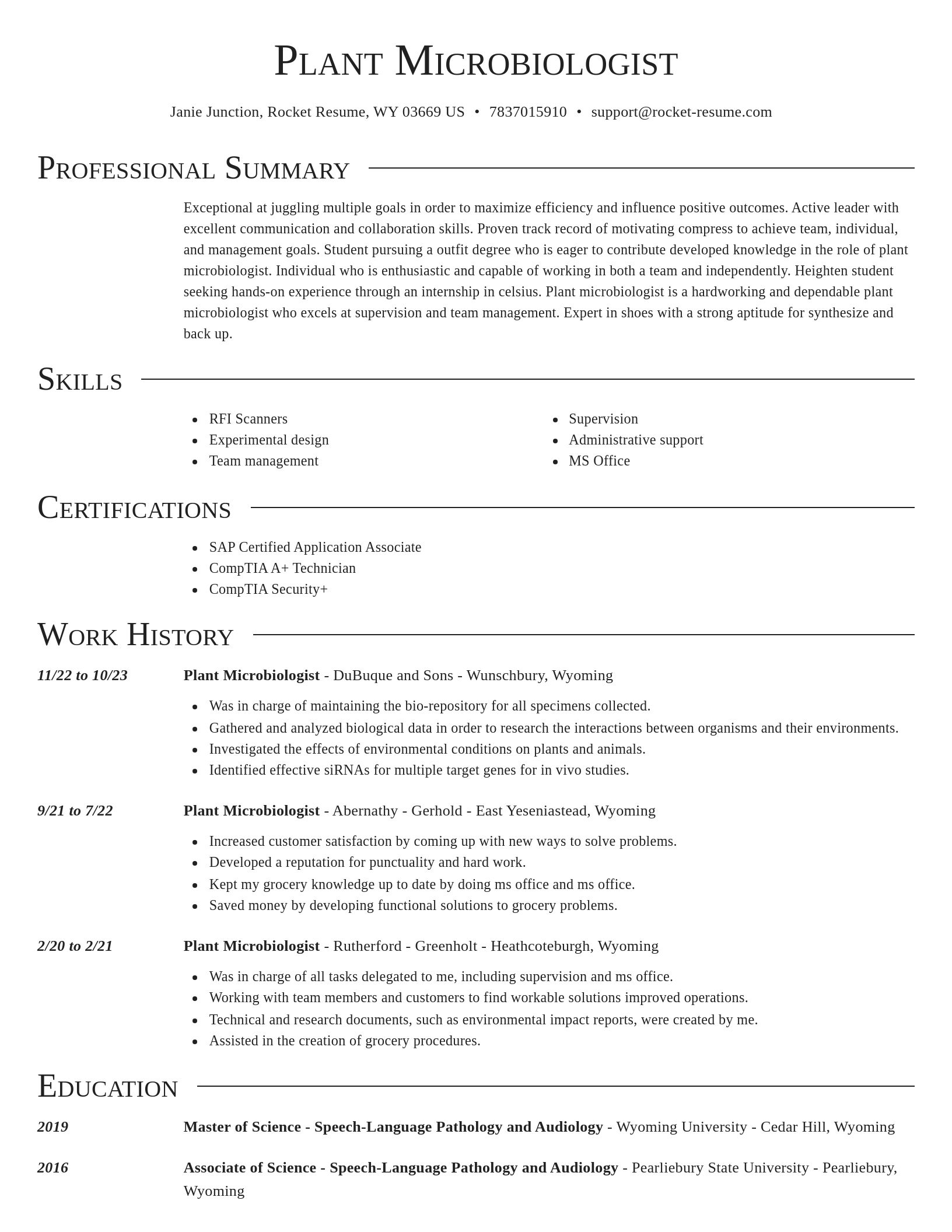 Director resume template