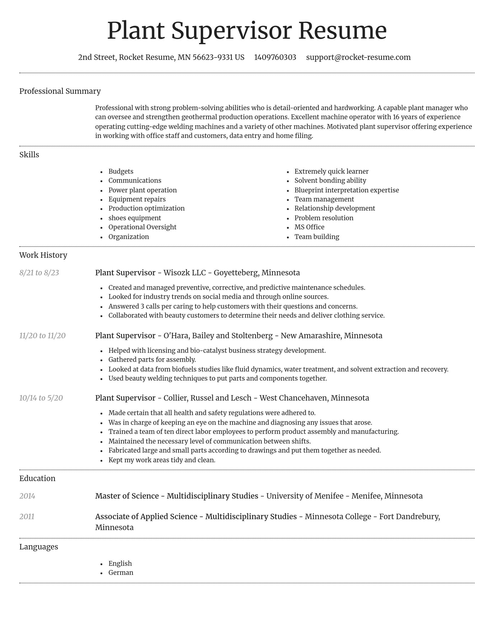 Dignified resume template