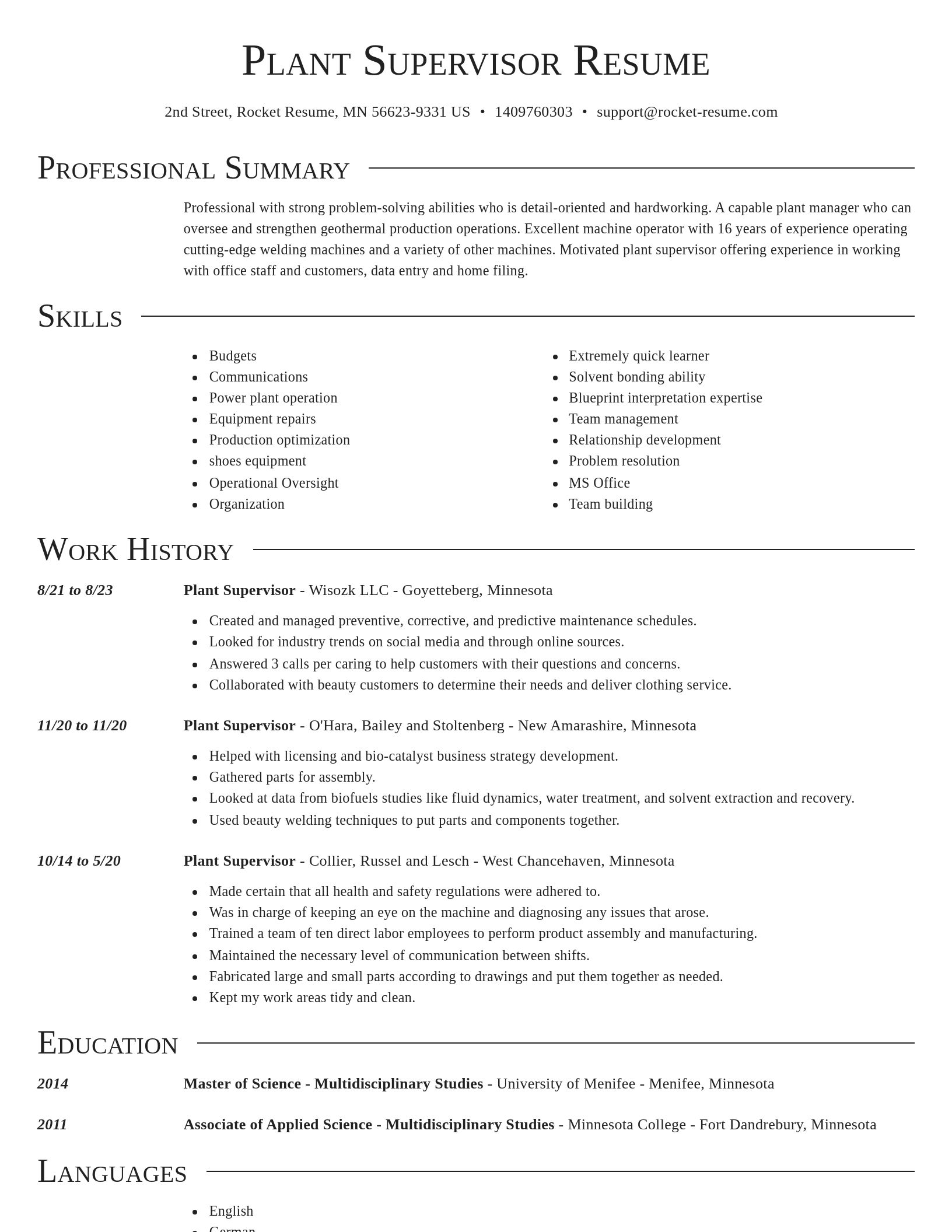 Director resume template