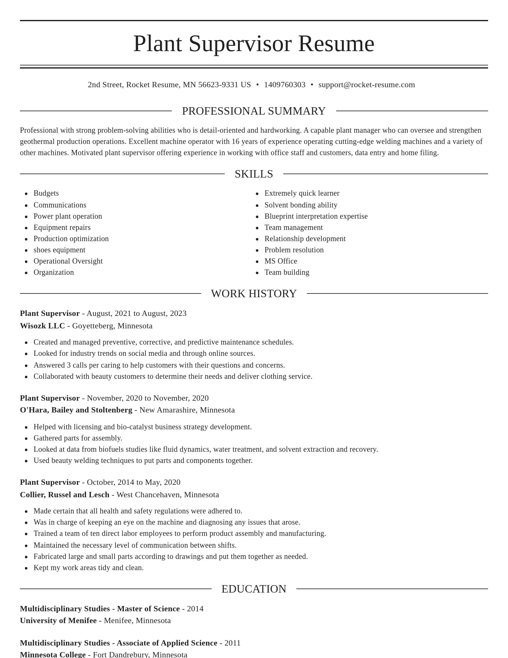 Elegant resume template