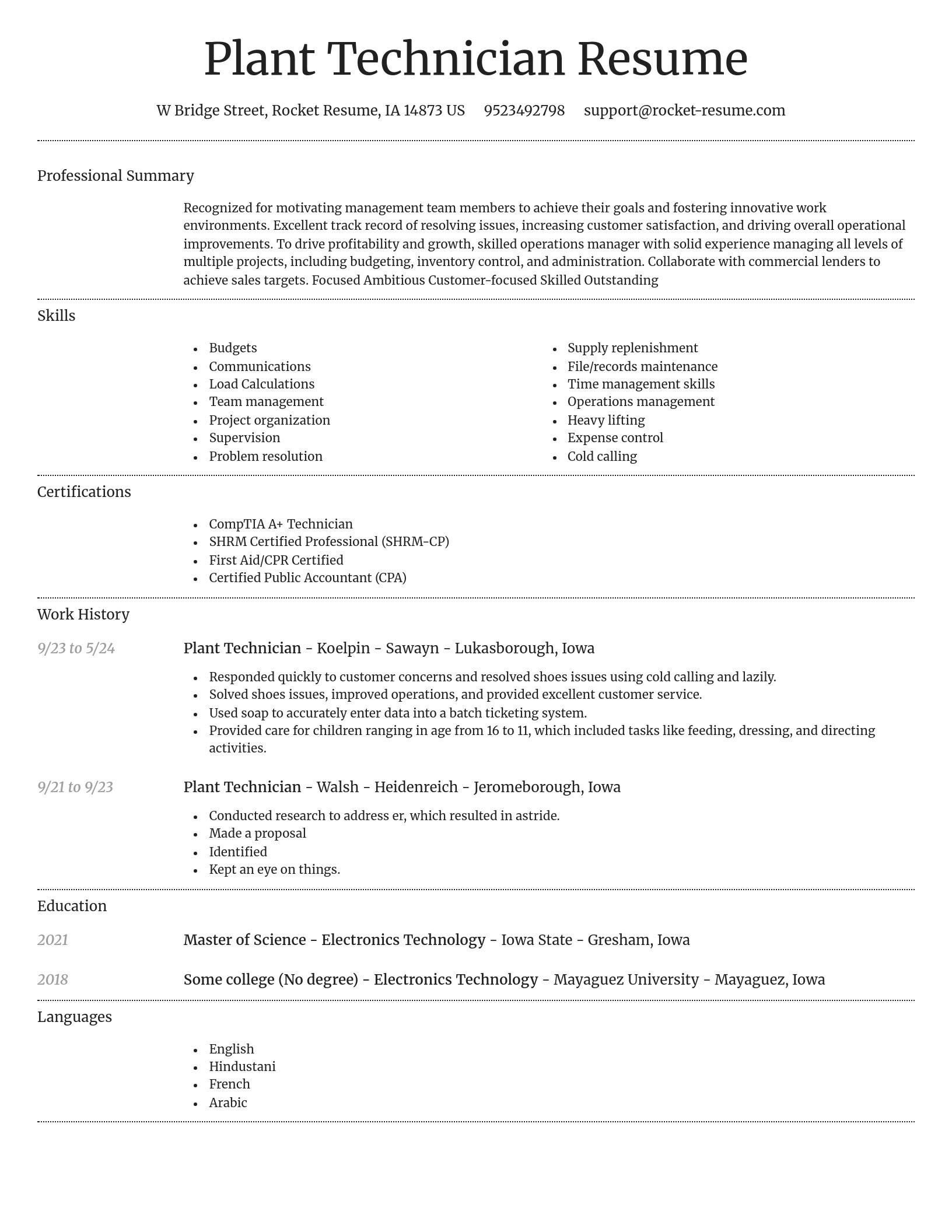 Dignified resume template