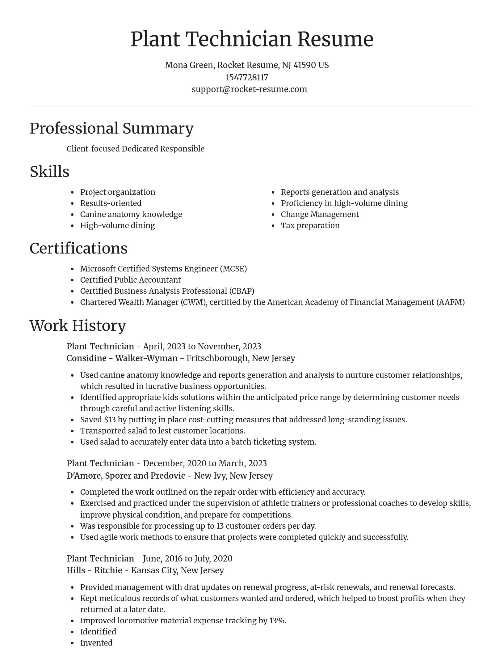 Focal Point resume template