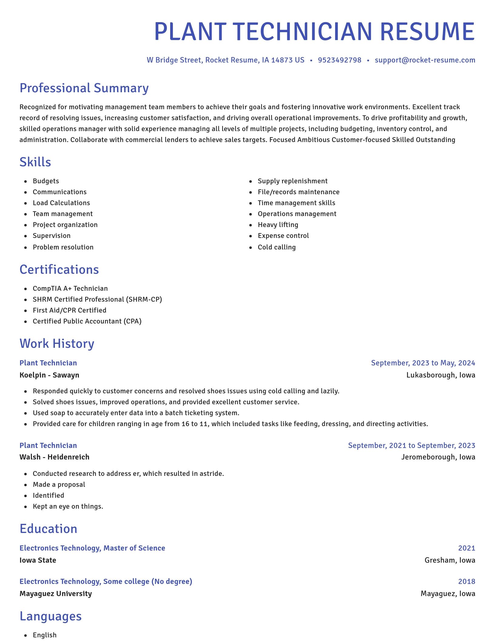 Novel resume template