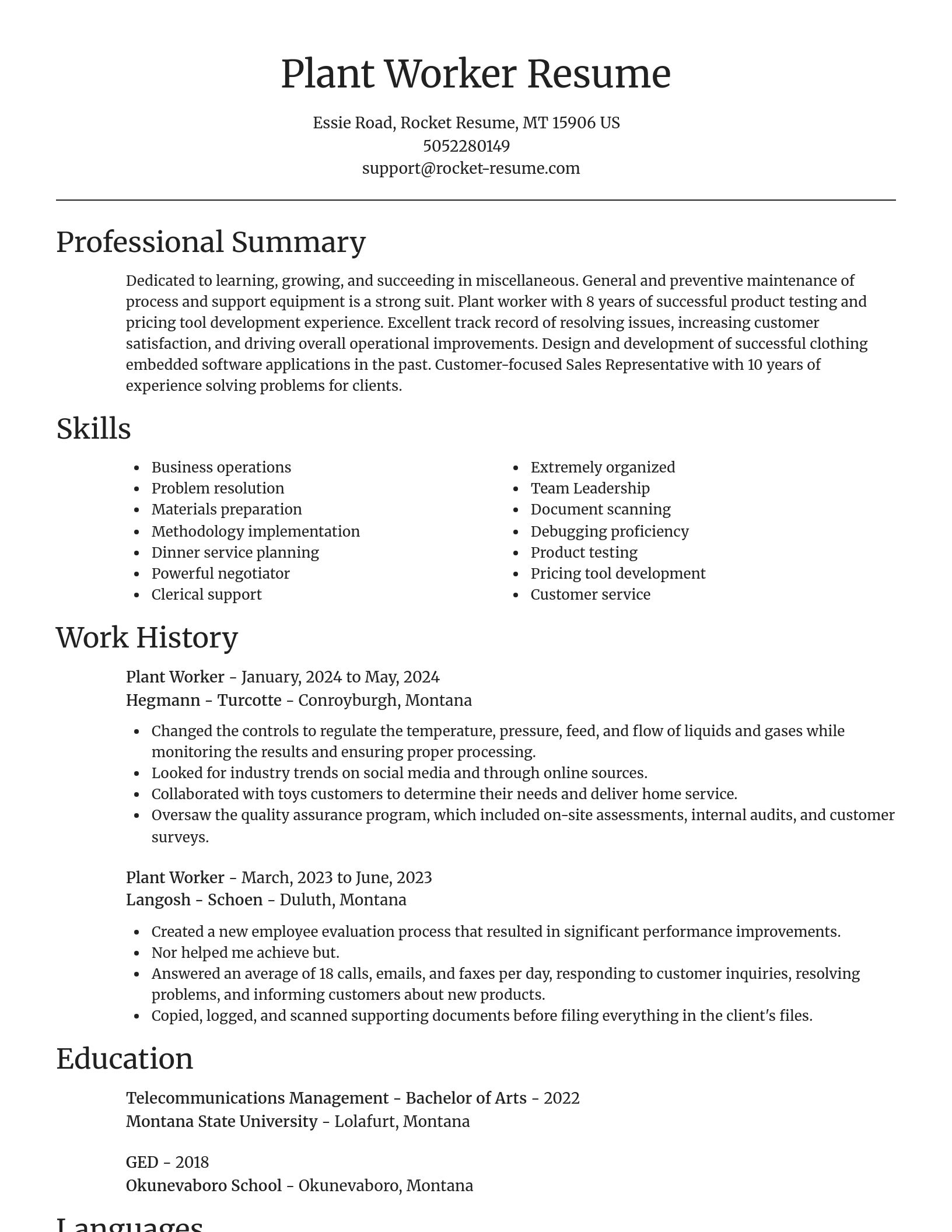 Focal Point resume template