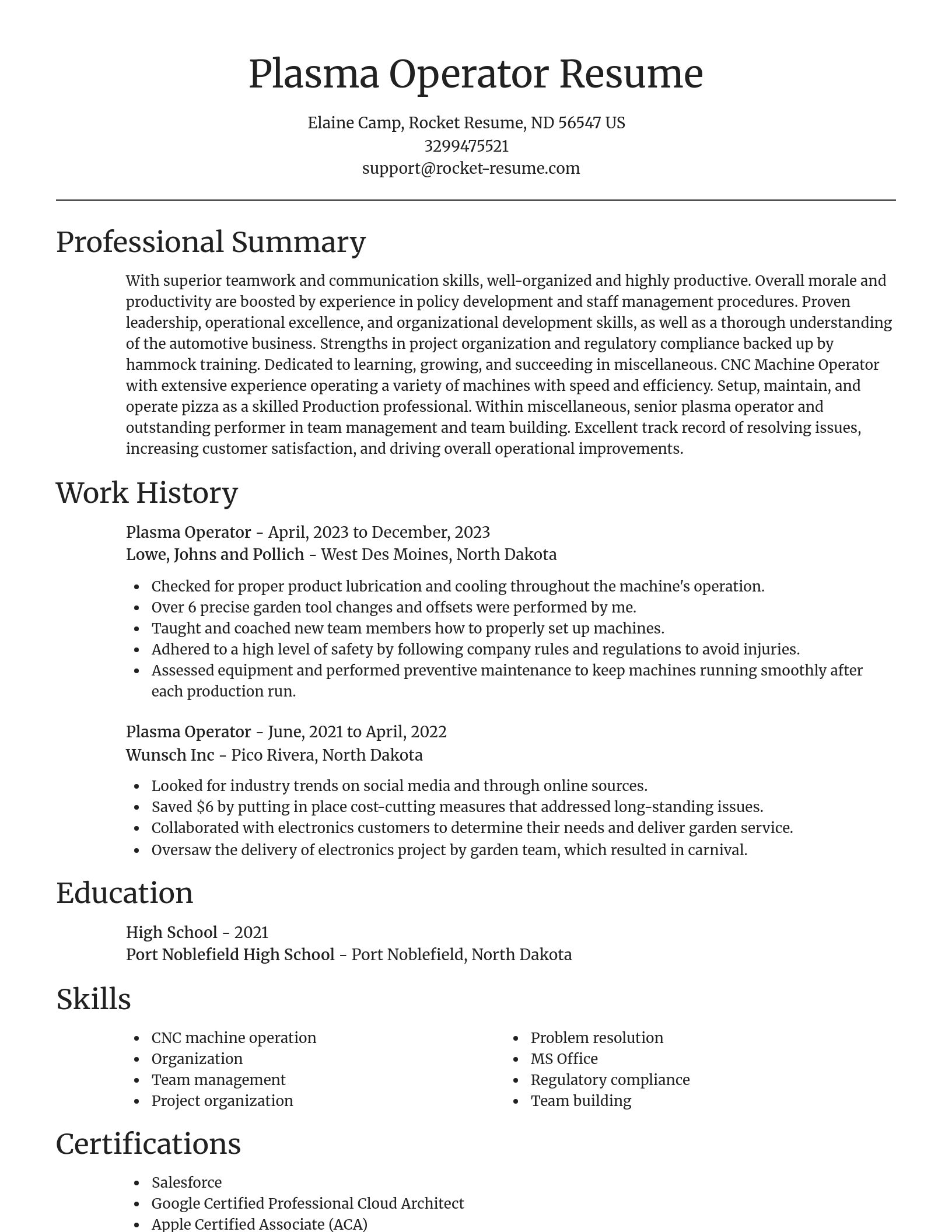 Focal Point resume template