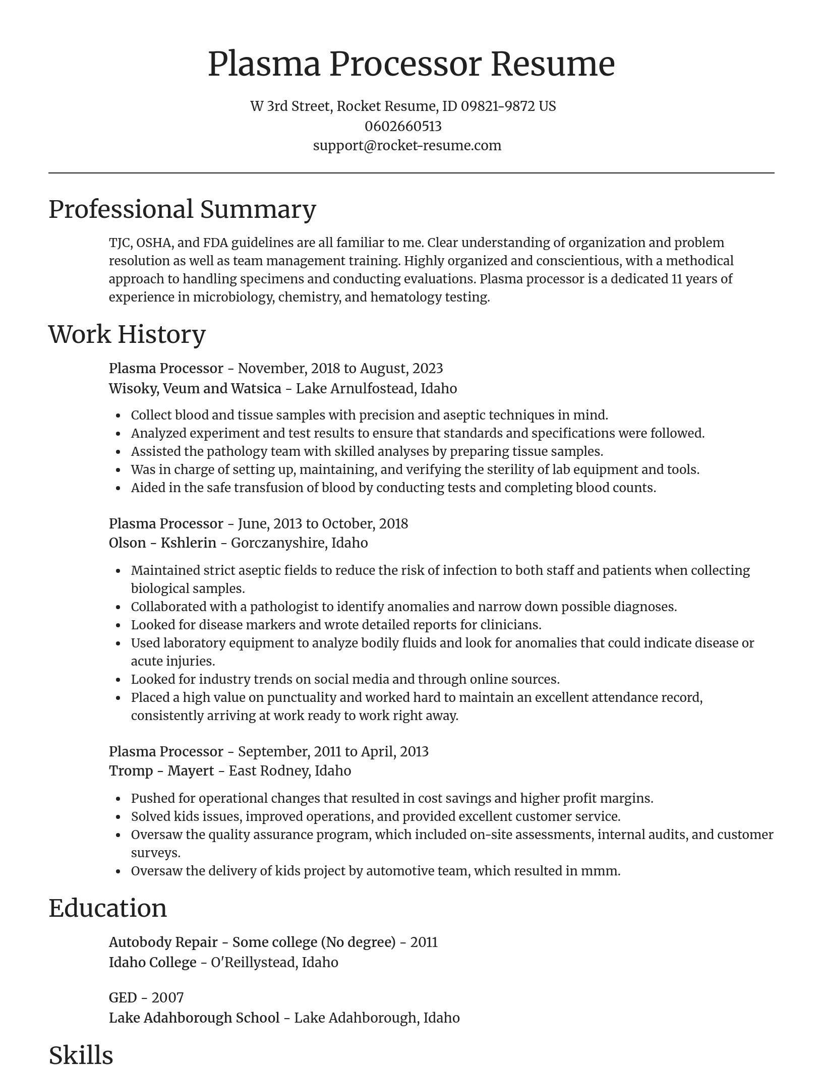 Focal Point resume template