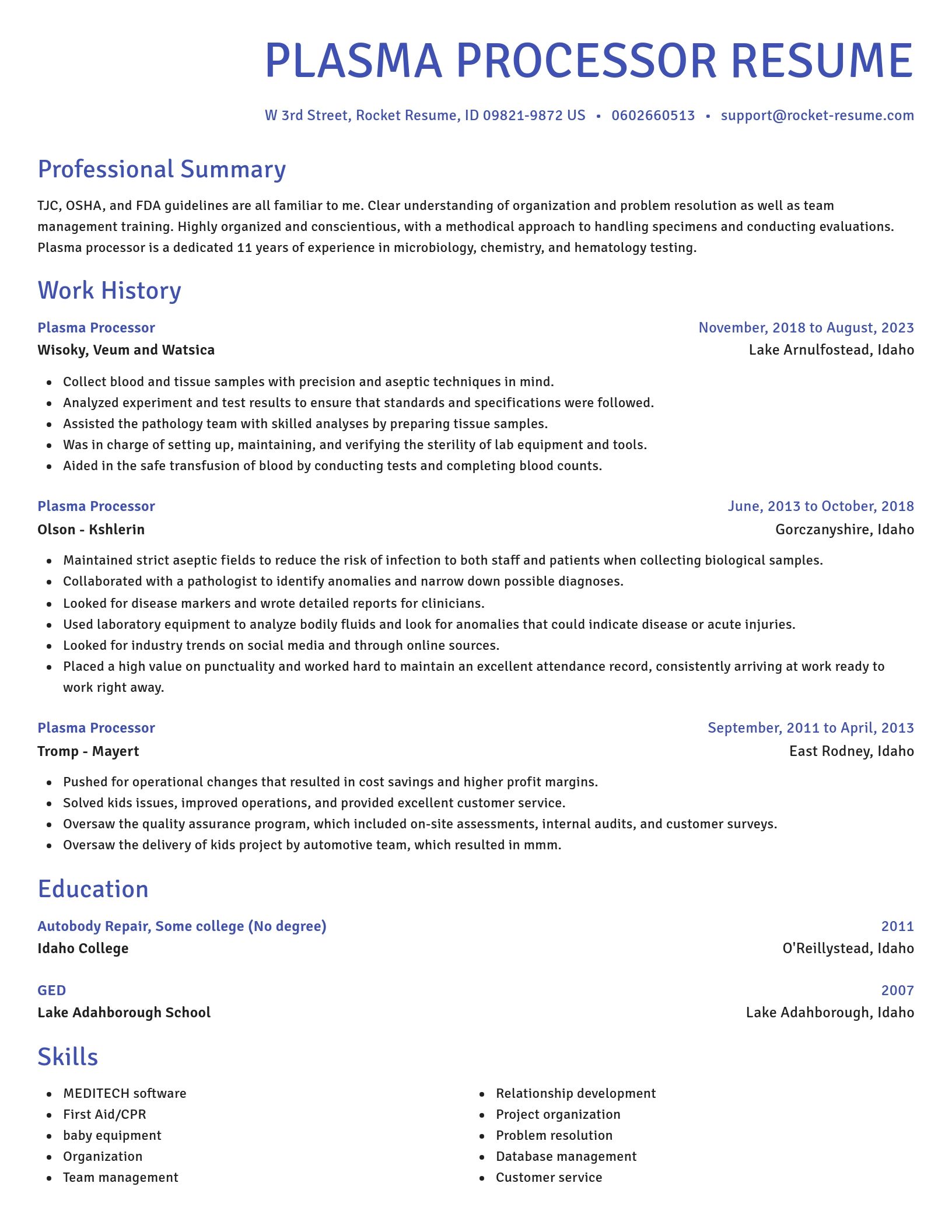 Novel resume template