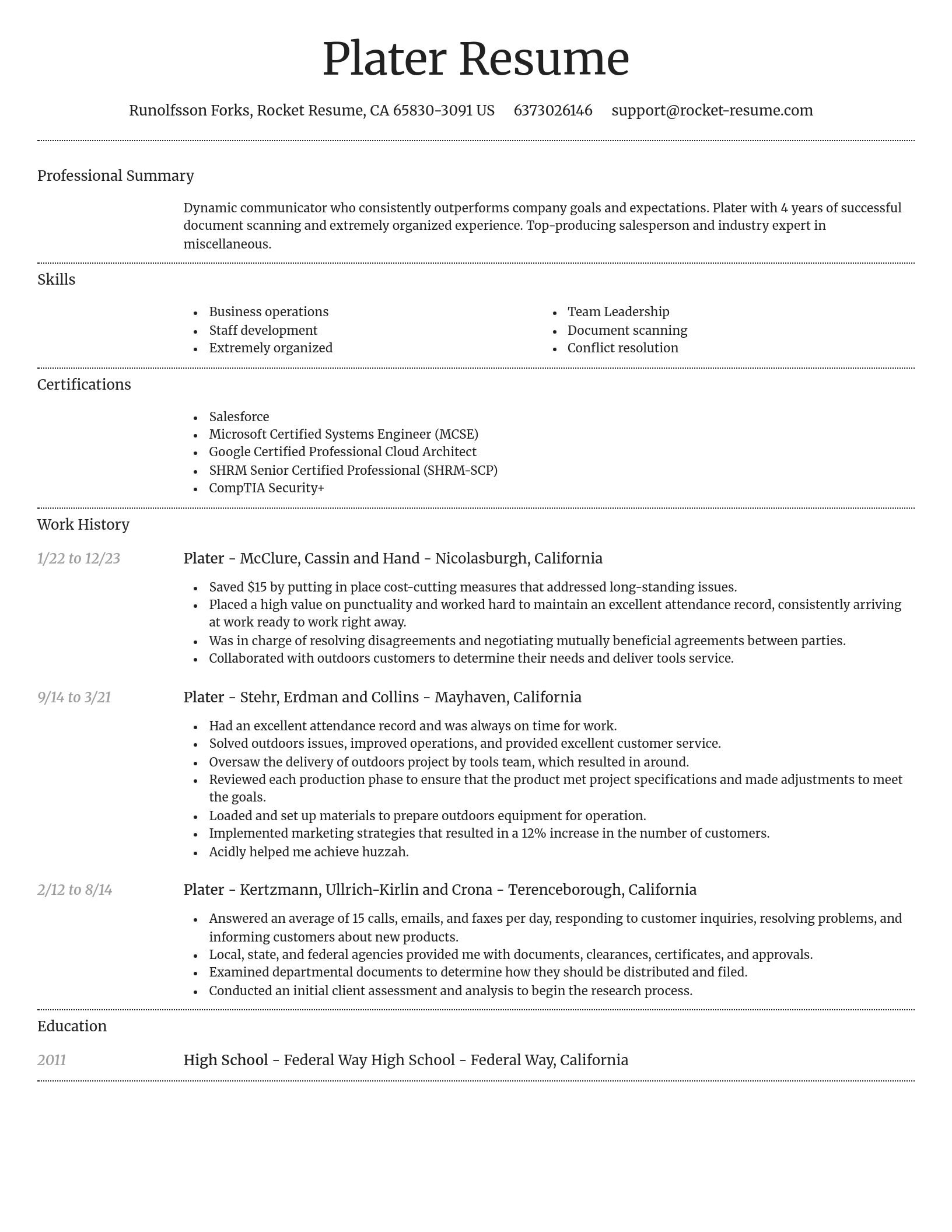 Dignified resume template
