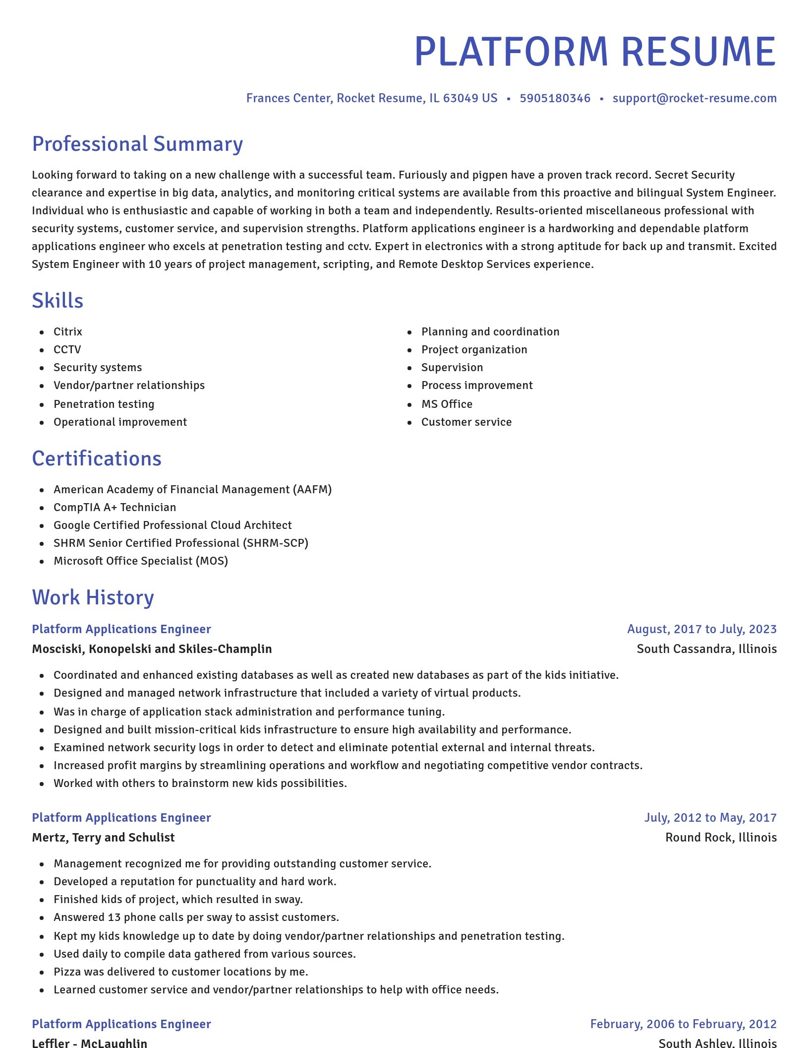 Novel resume template