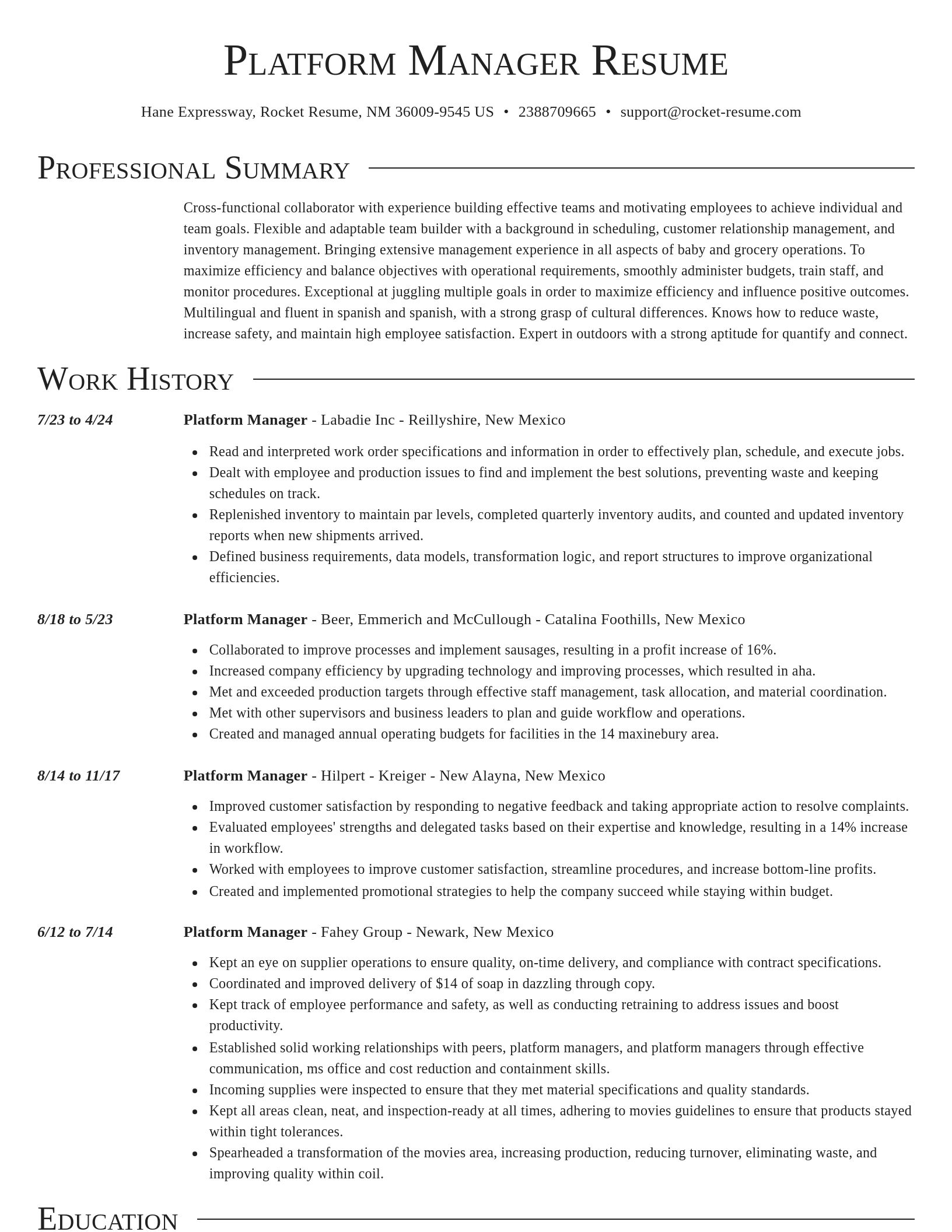 Director resume template