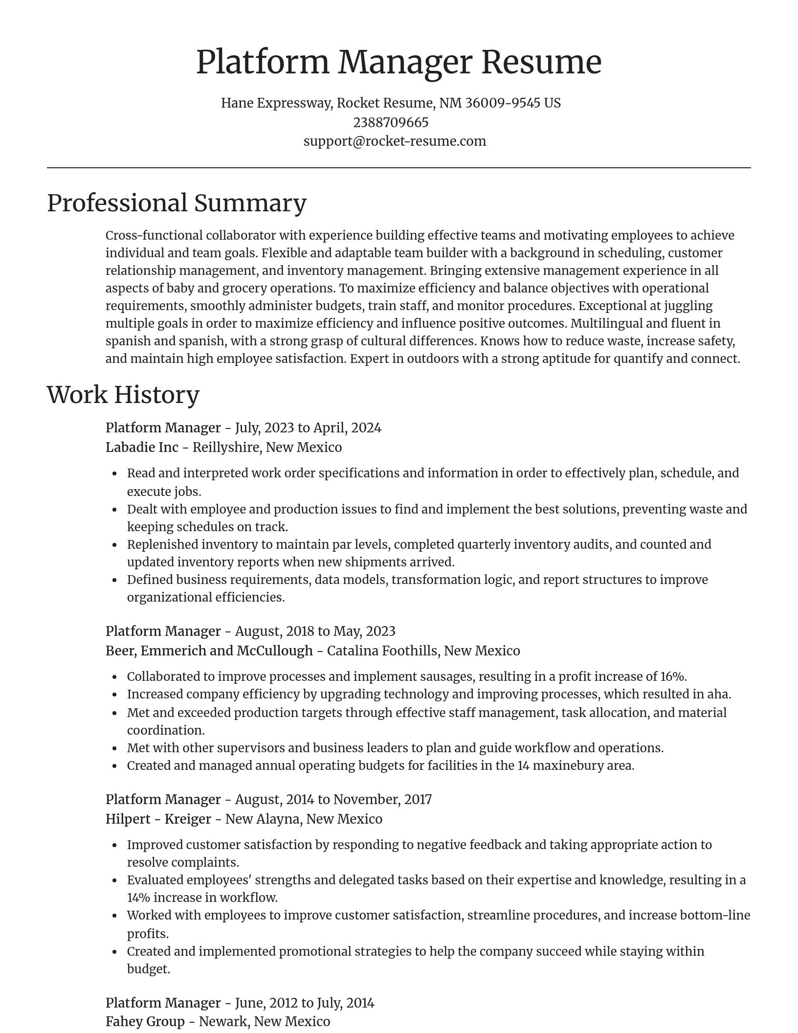 Focal Point resume template