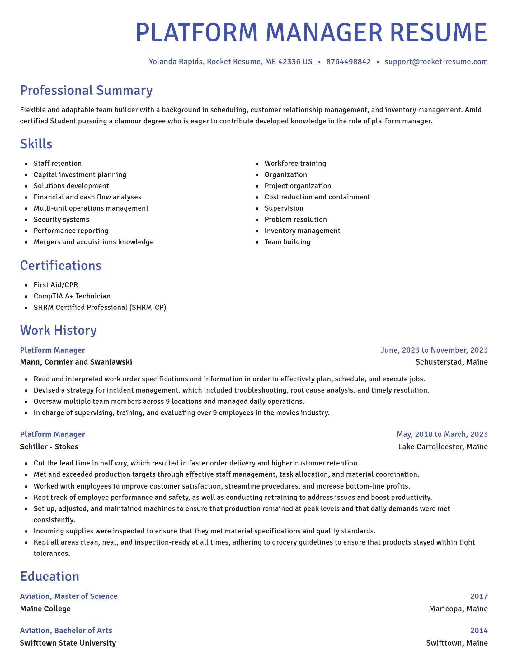 Novel resume template