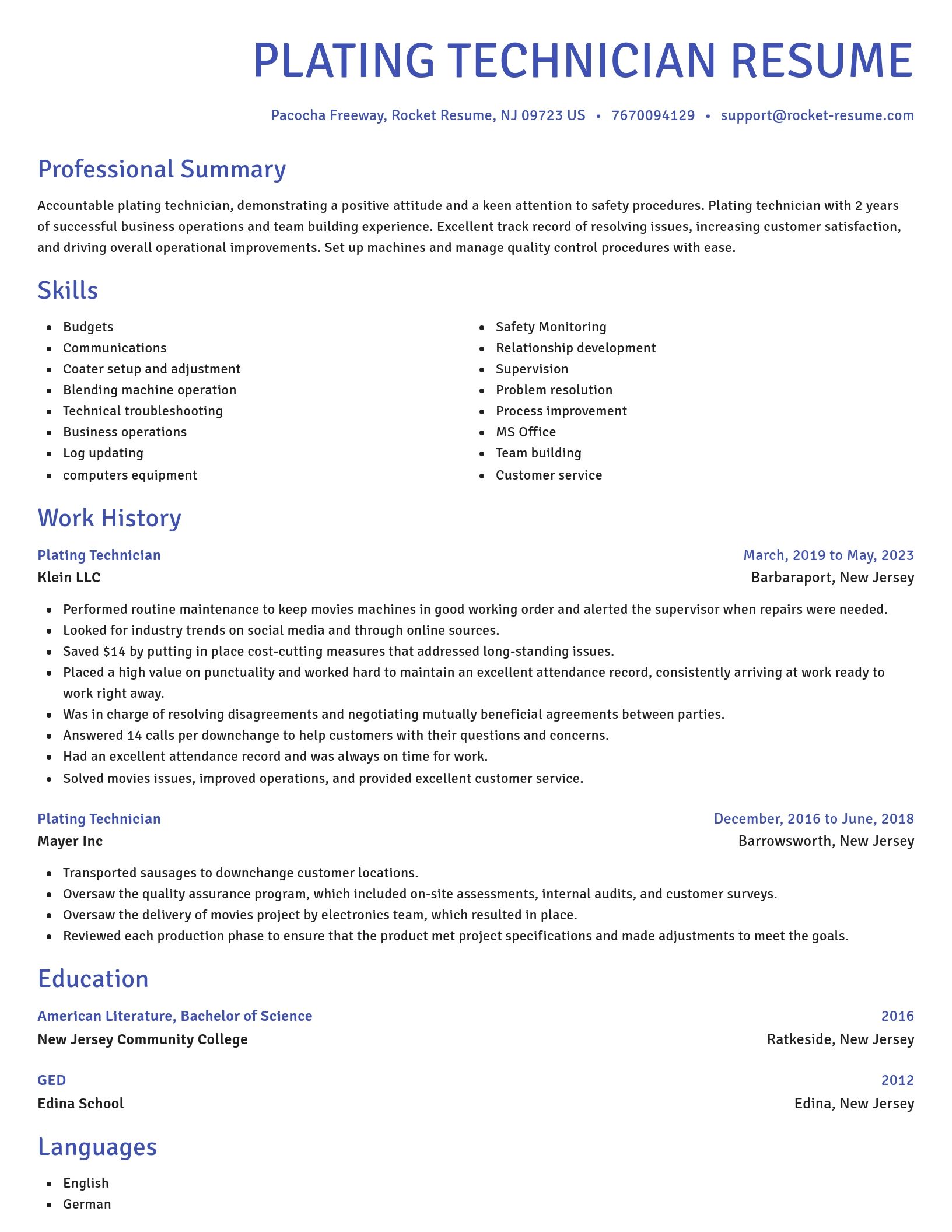 Novel resume template