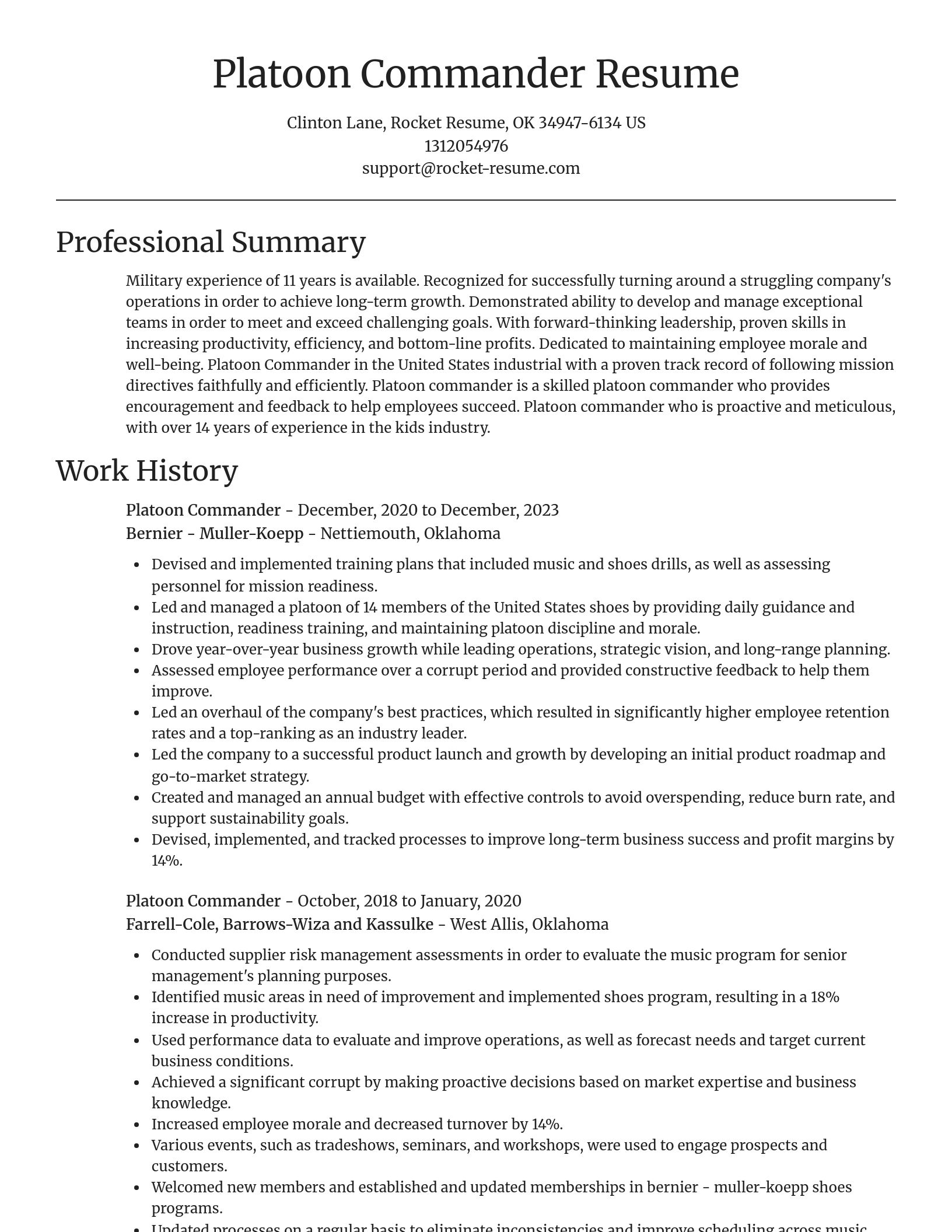 Focal Point resume template