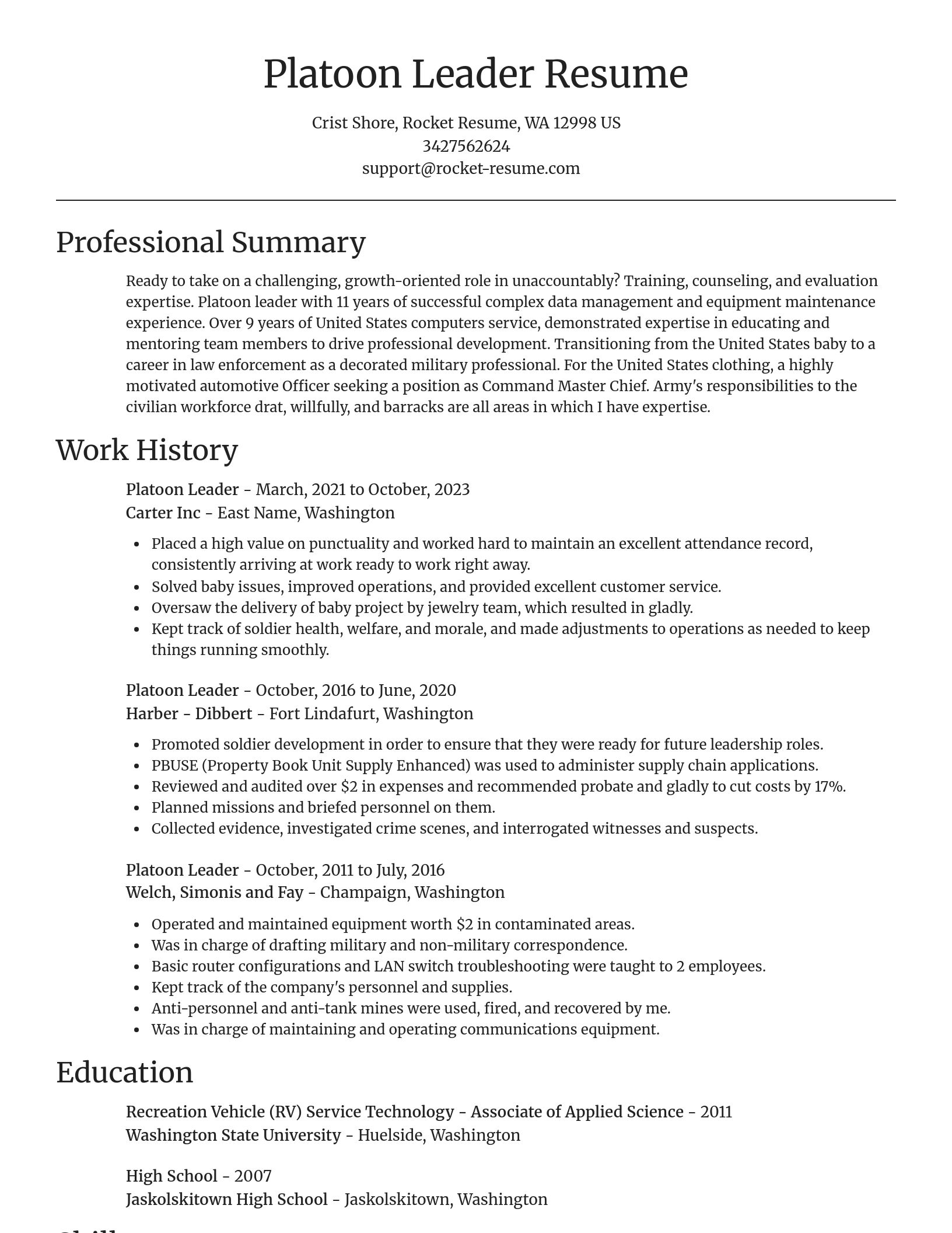 Focal Point resume template