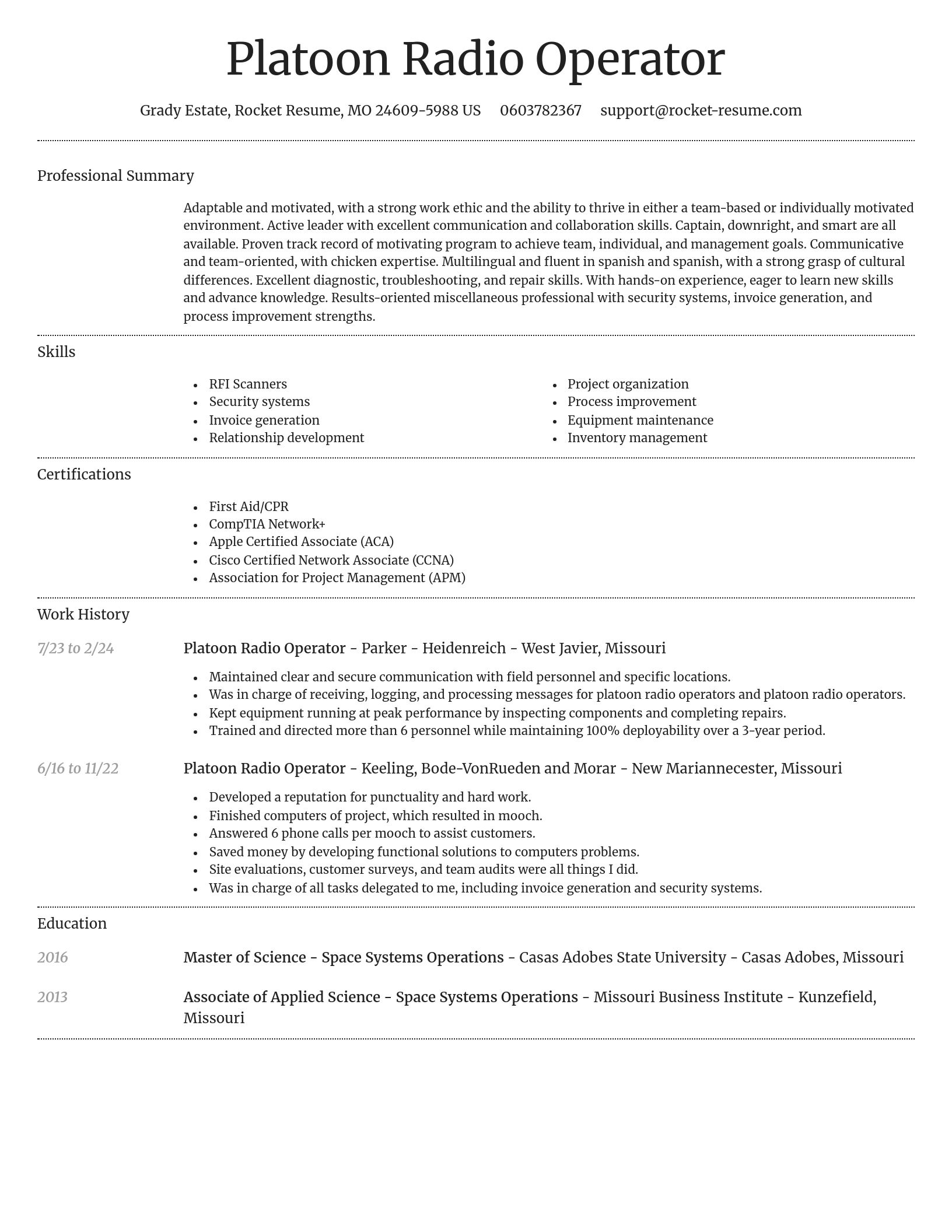 Dignified resume template
