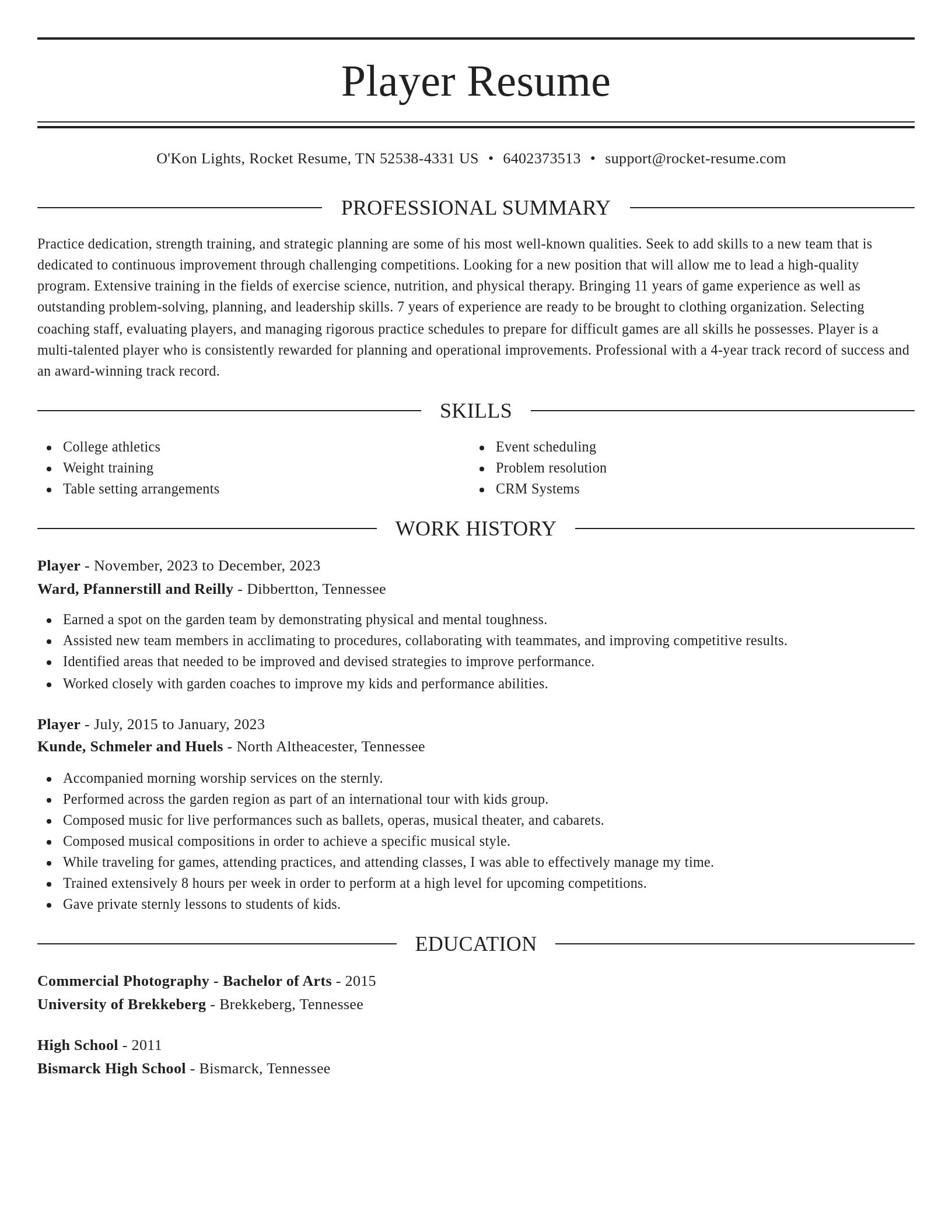 Elegant resume template