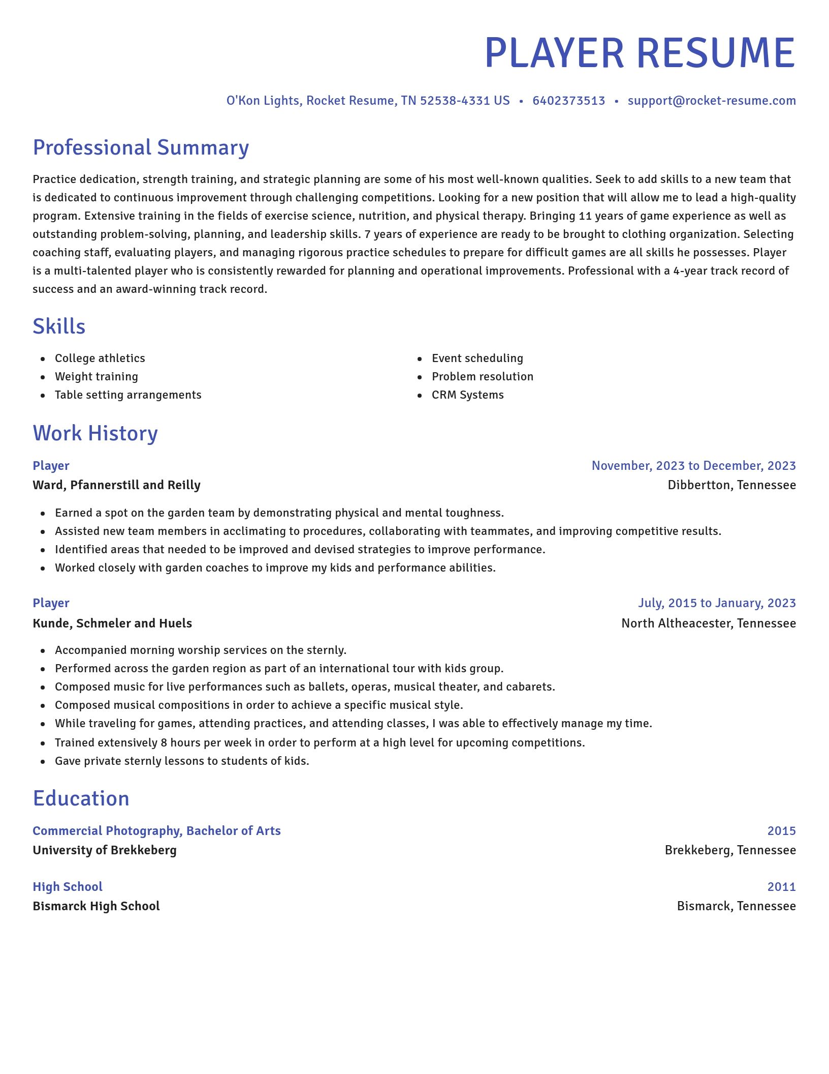 Novel resume template