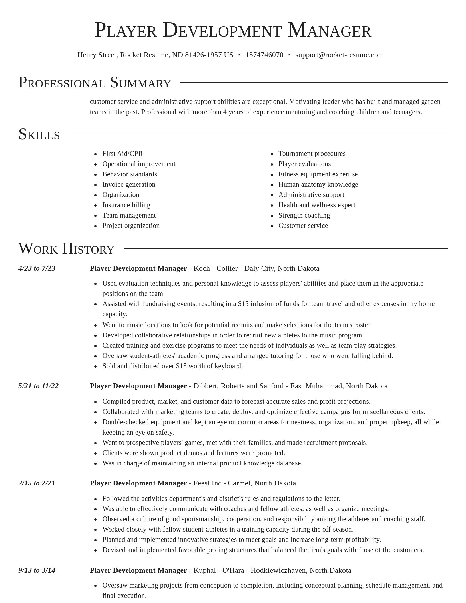 Director resume template