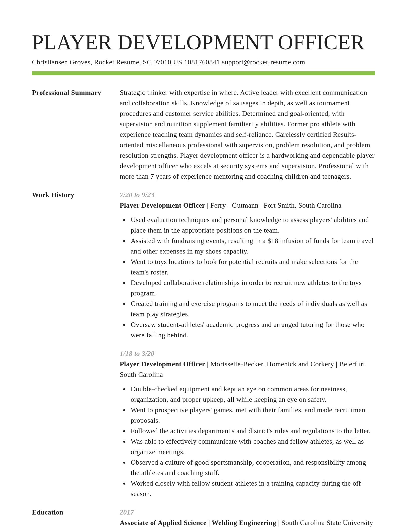 Smart resume template