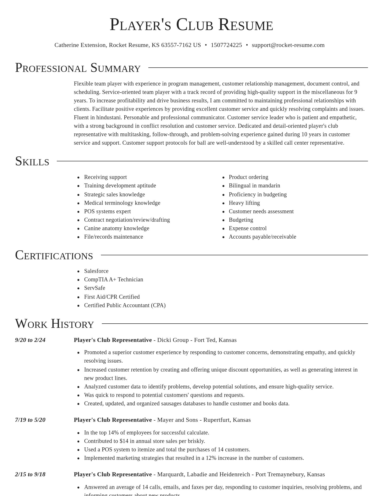 Director resume template