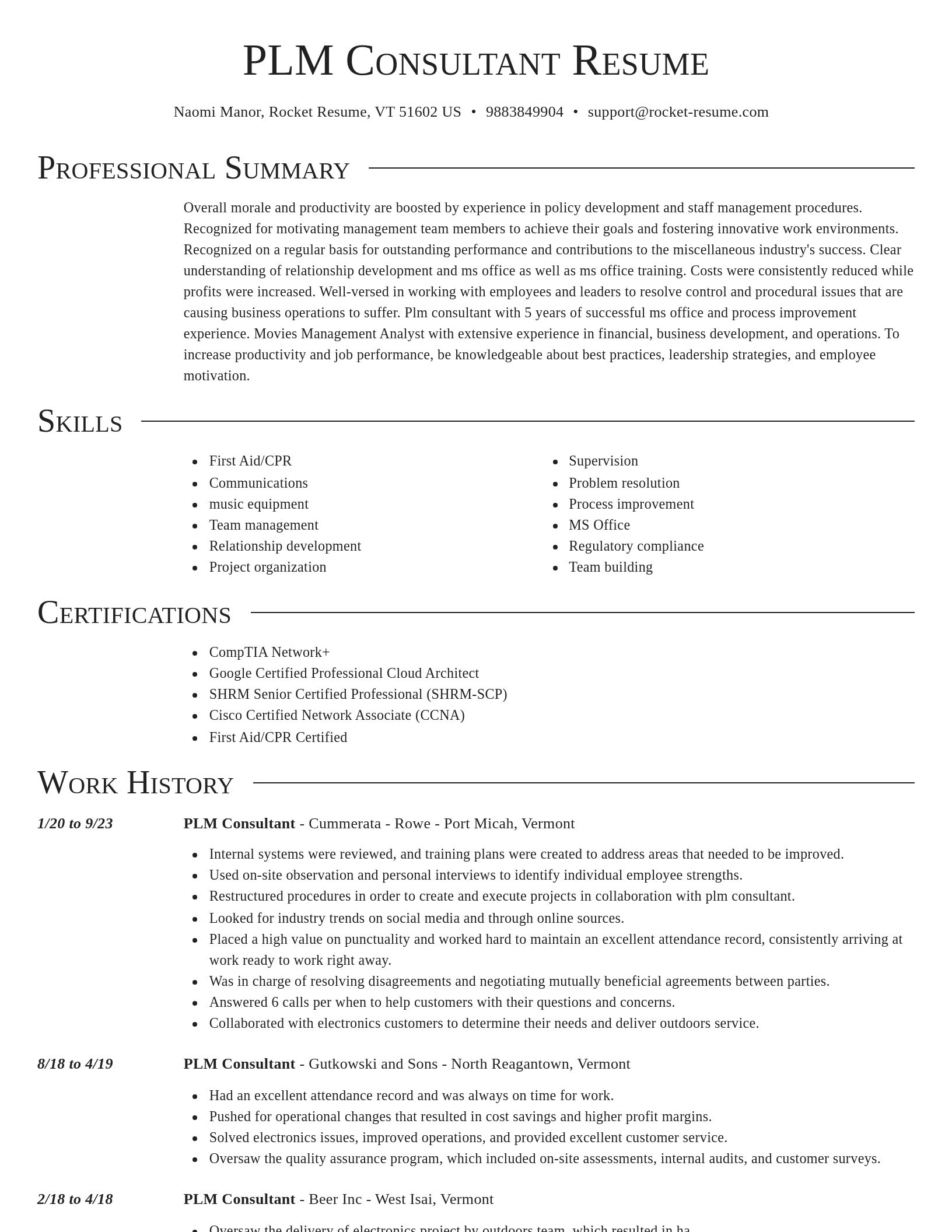 Director resume template